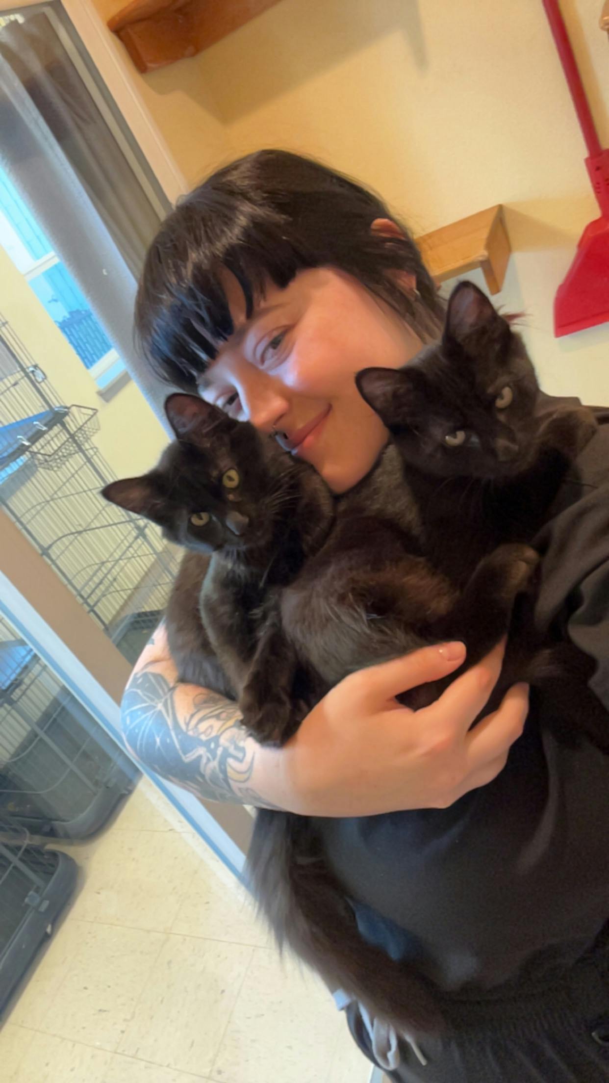 user avatar image for Loren T