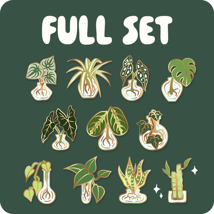 Full Set