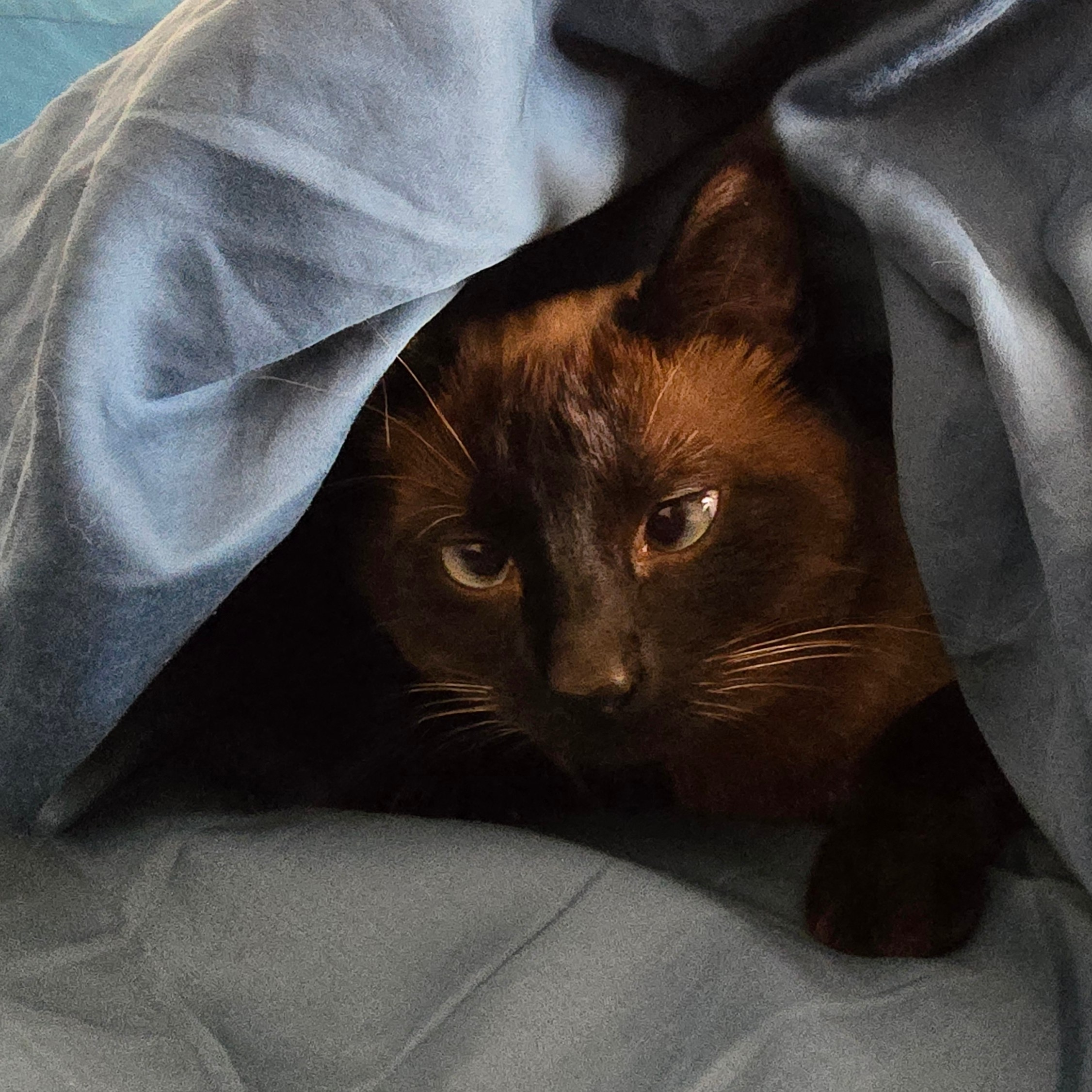 user avatar image for Leah Herman