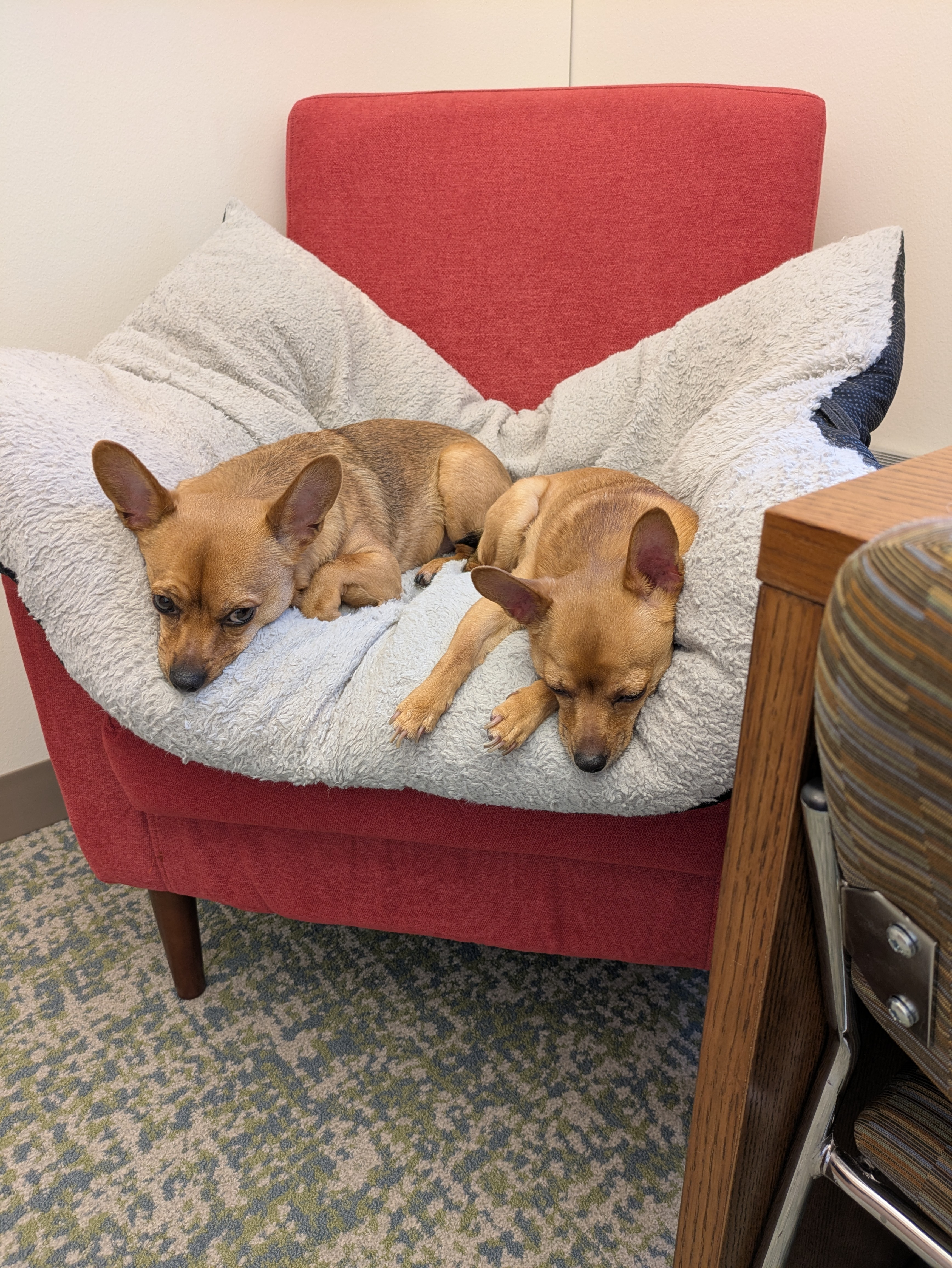 user avatar image for Sam Smith