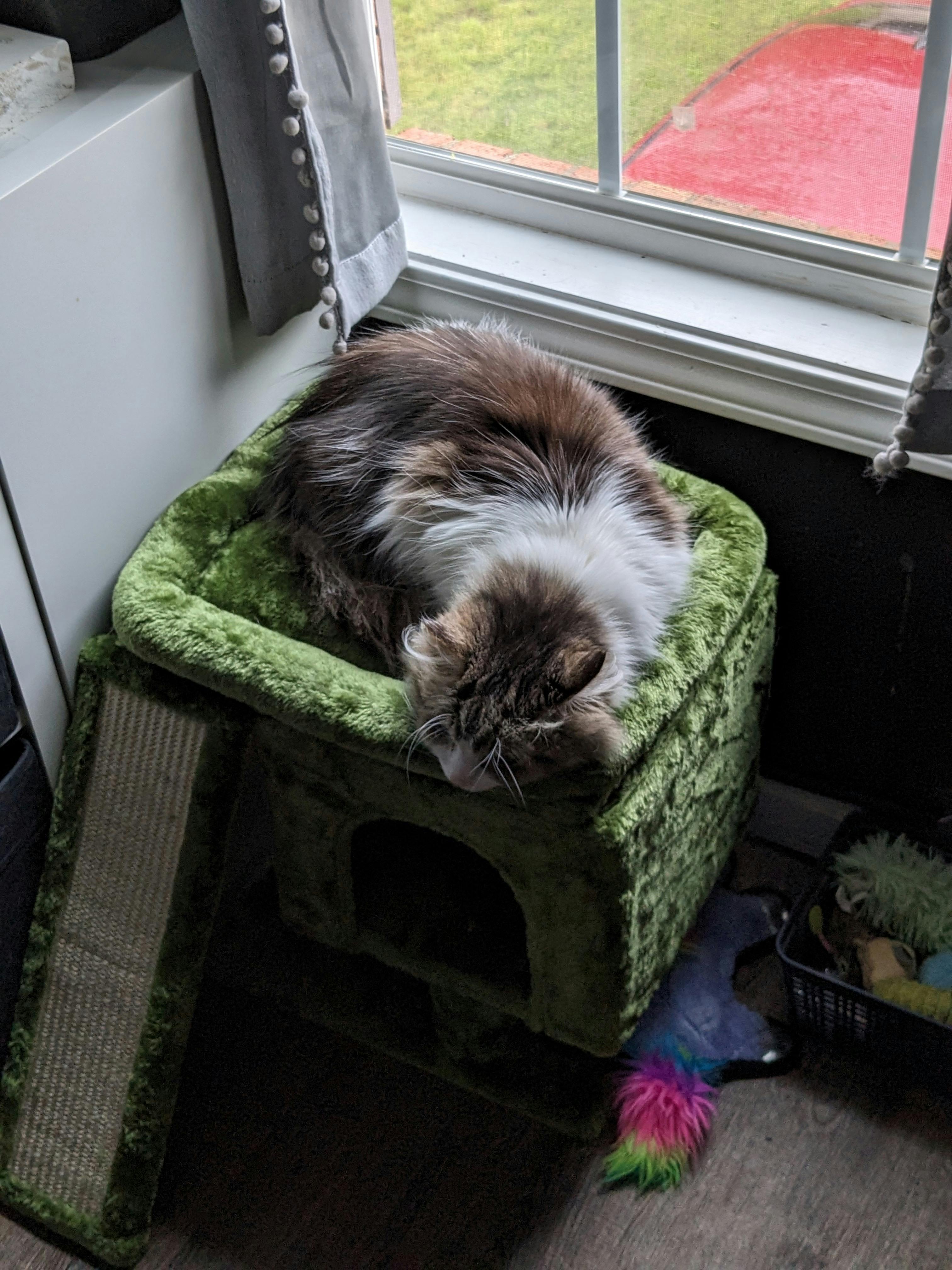 user avatar image for Fenrir