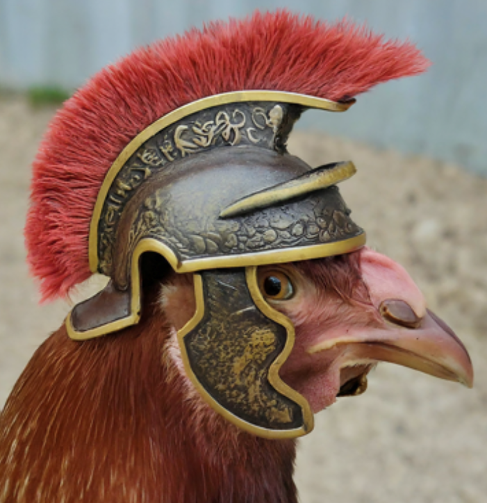 user avatar image for Helmuticus