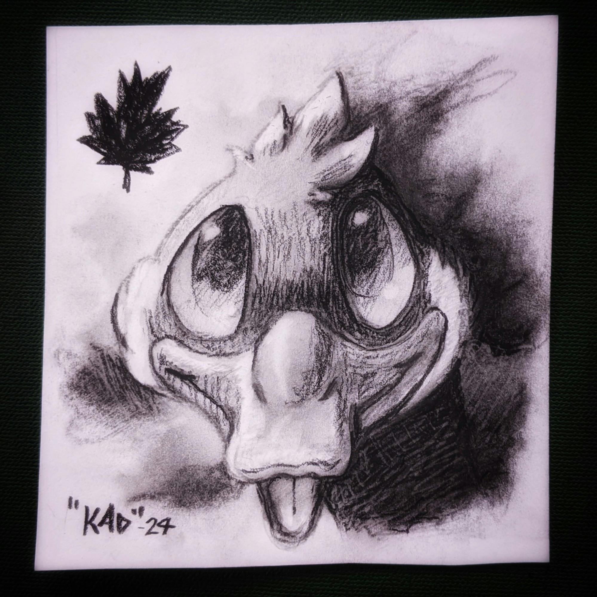 user avatar image for Stephen Henderson