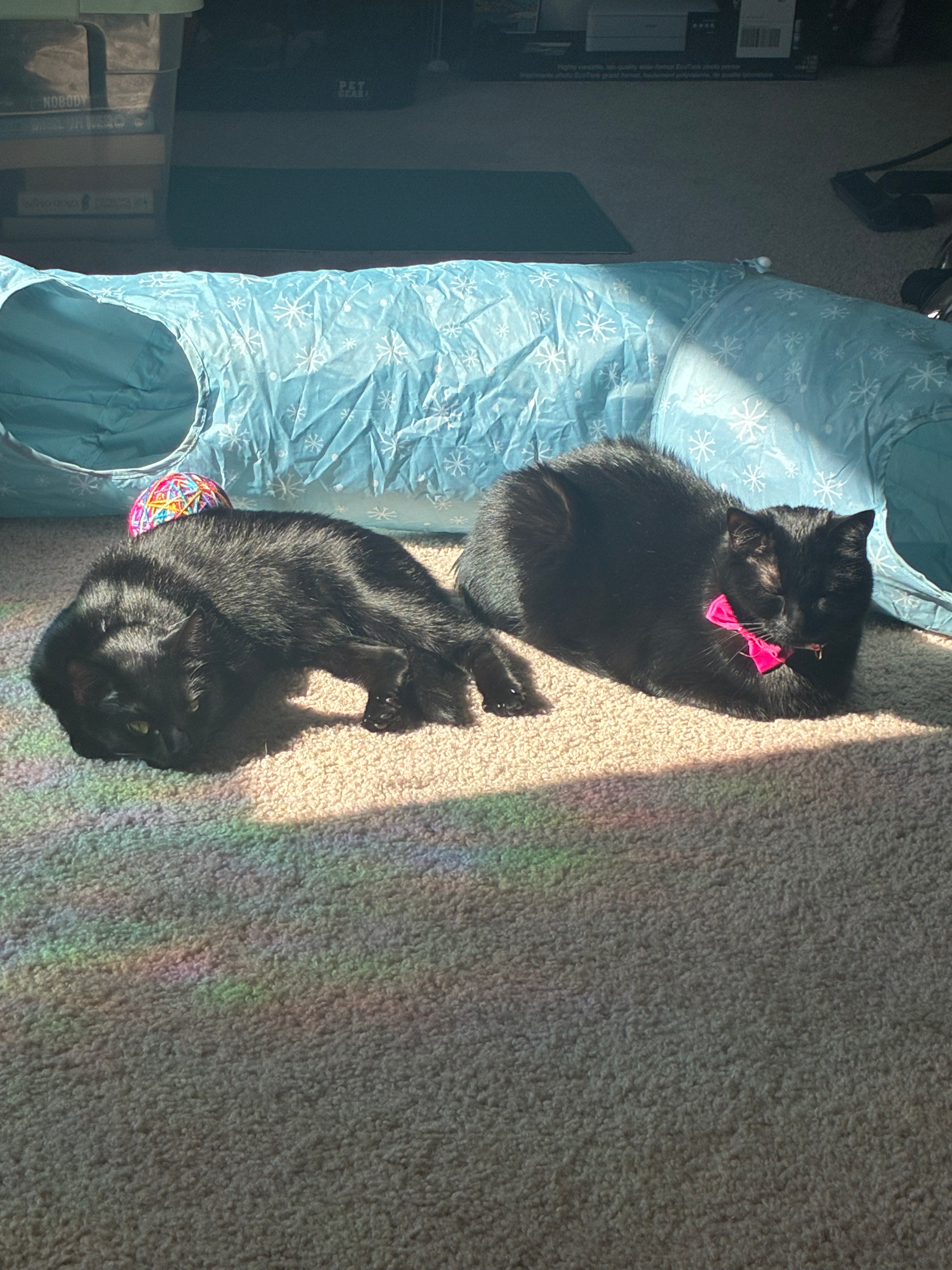 user avatar image for James Ottey