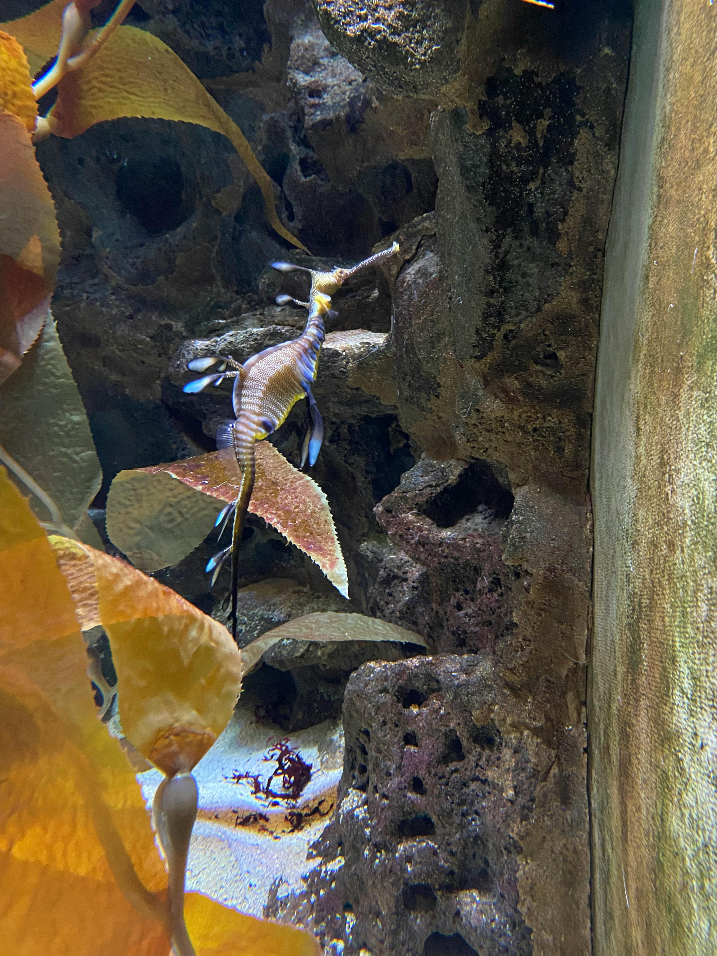 user avatar image for Key Baharian