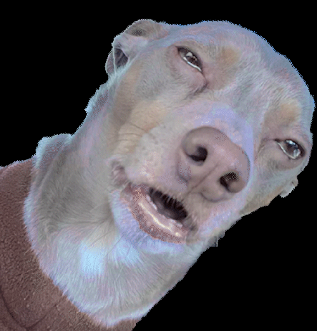 user avatar image for Anthony Grimes