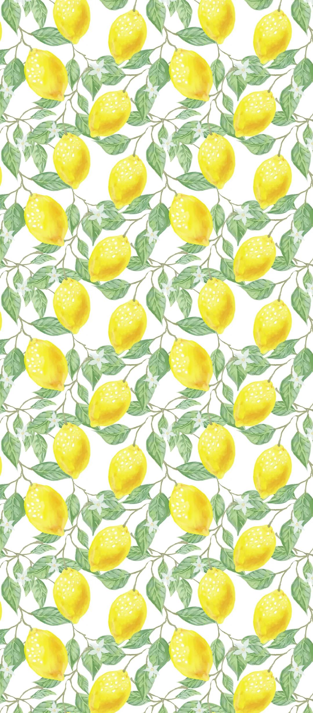 user avatar image for Melissa Madsen