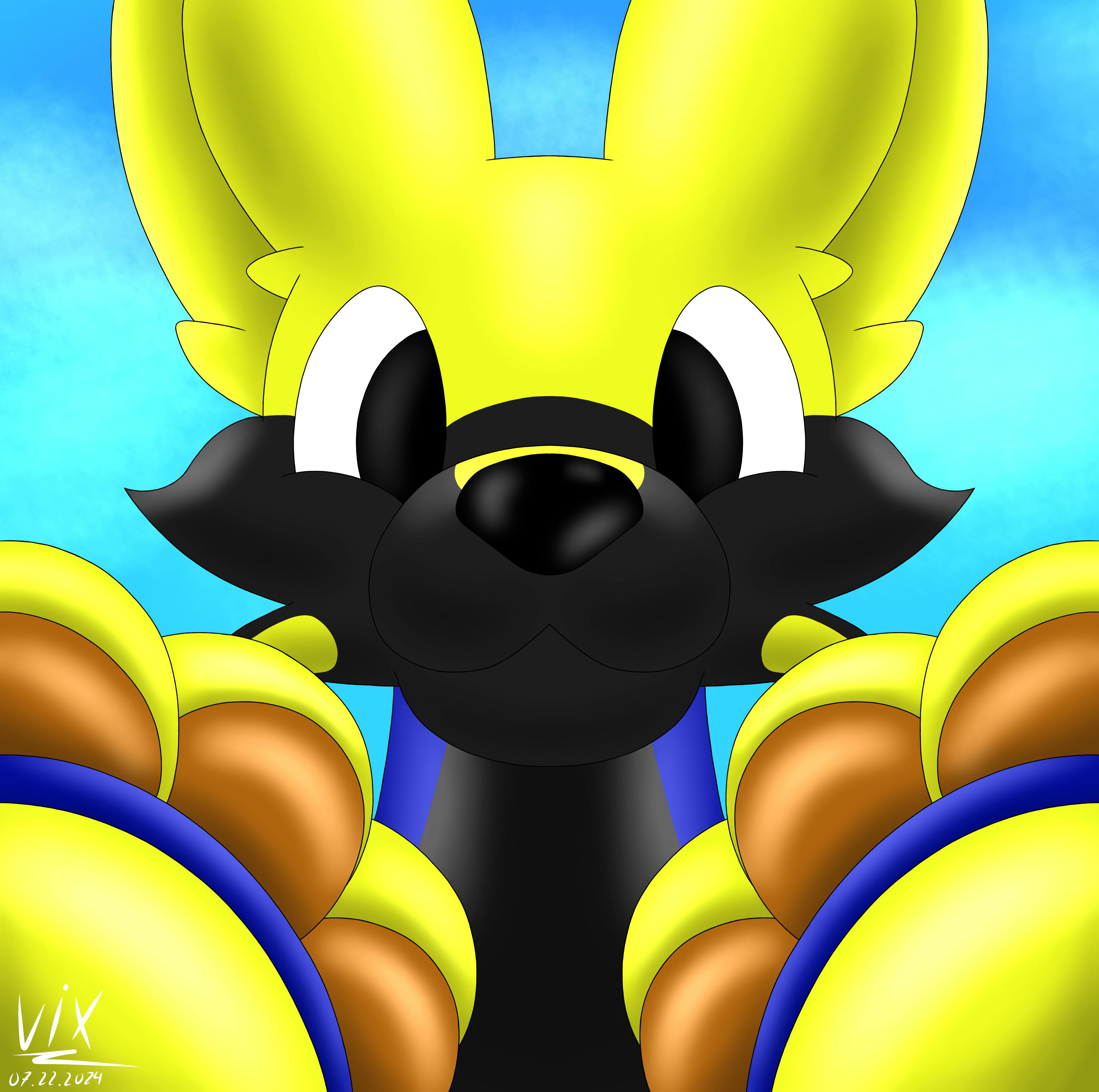 user avatar image for PacTheFox 