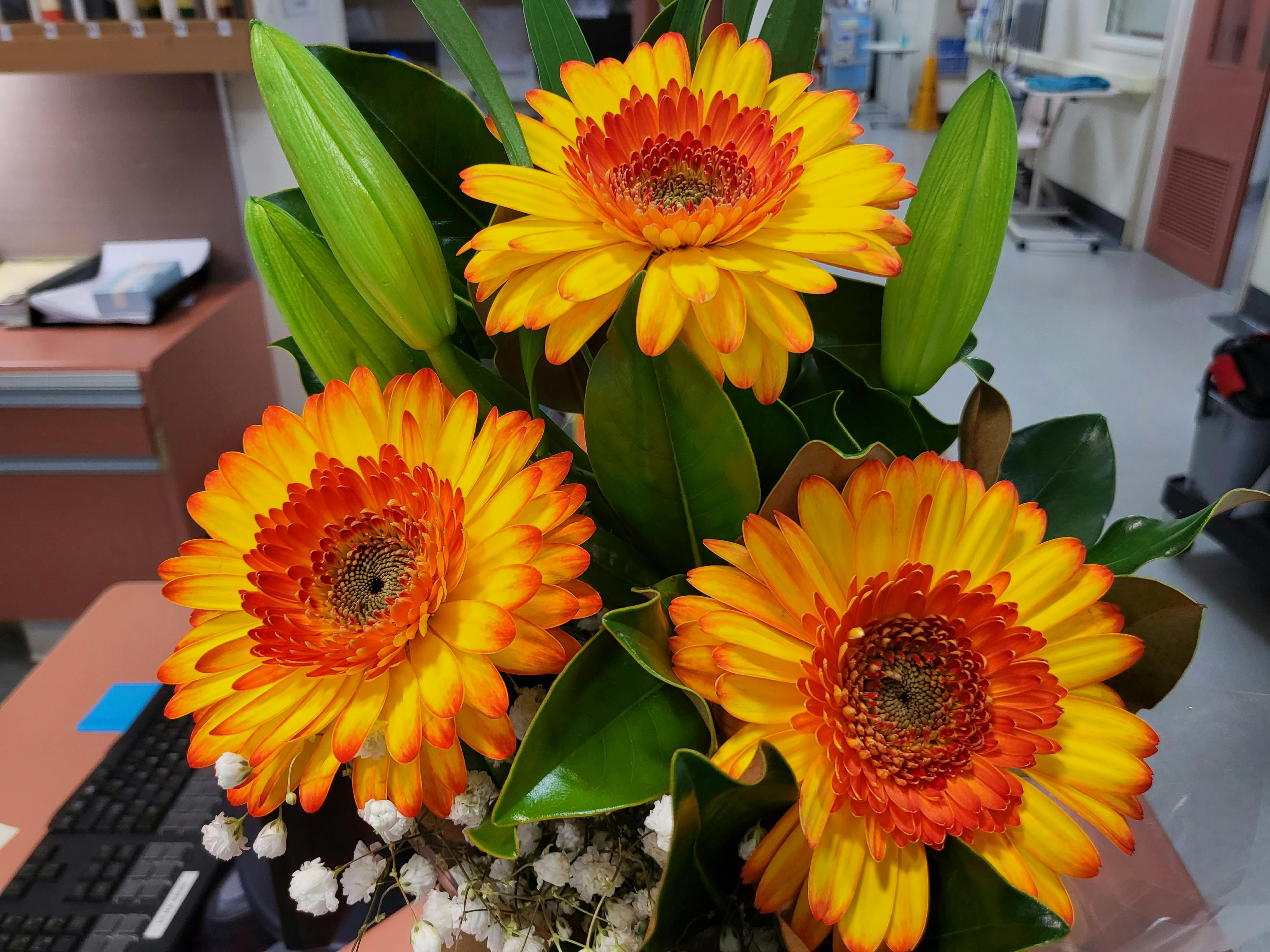 user avatar image for Queenie (aka Marcia K)