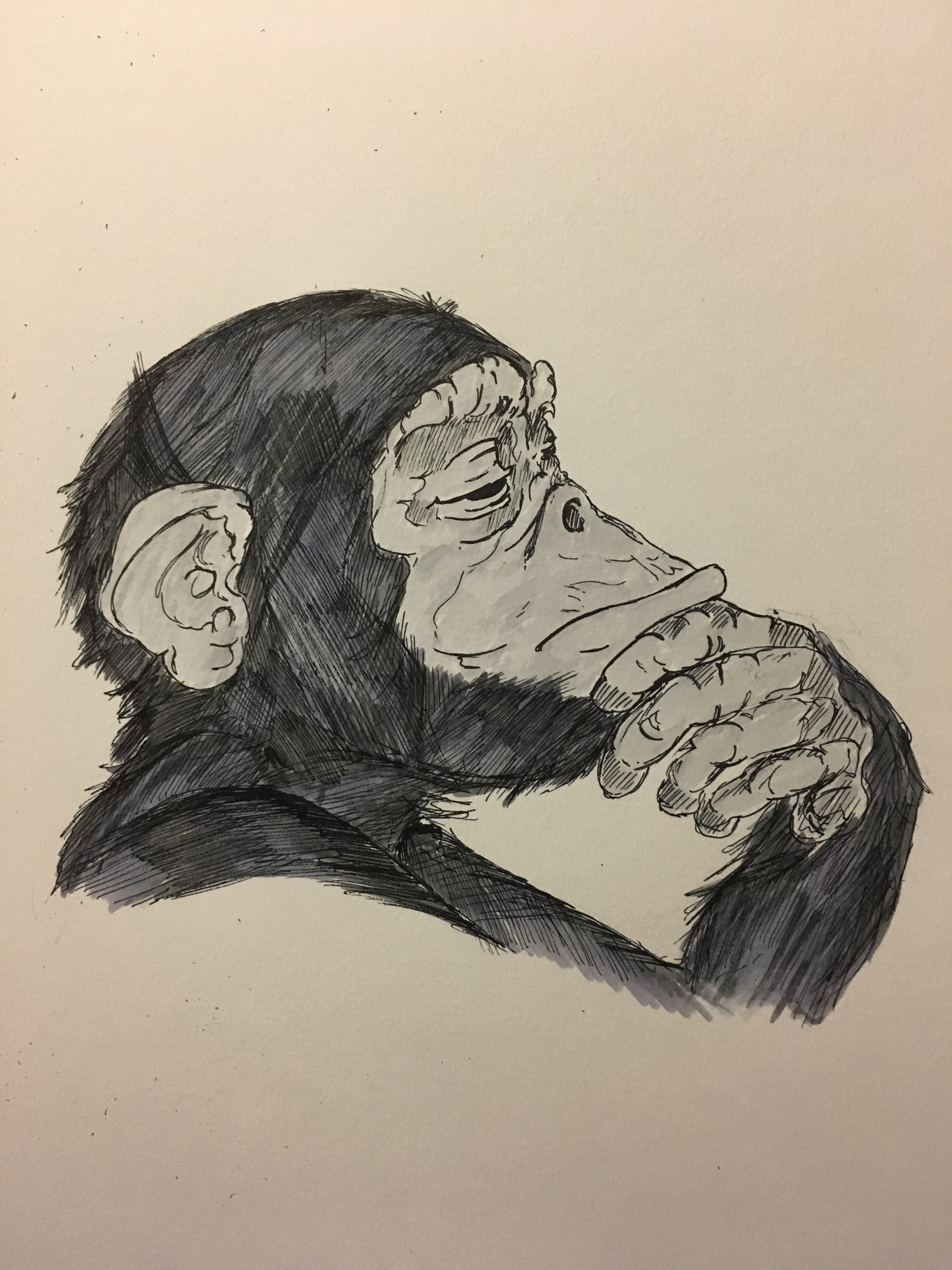 user avatar image for Matt Proffitt 