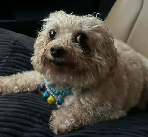 user avatar image for Gideon Holmes 