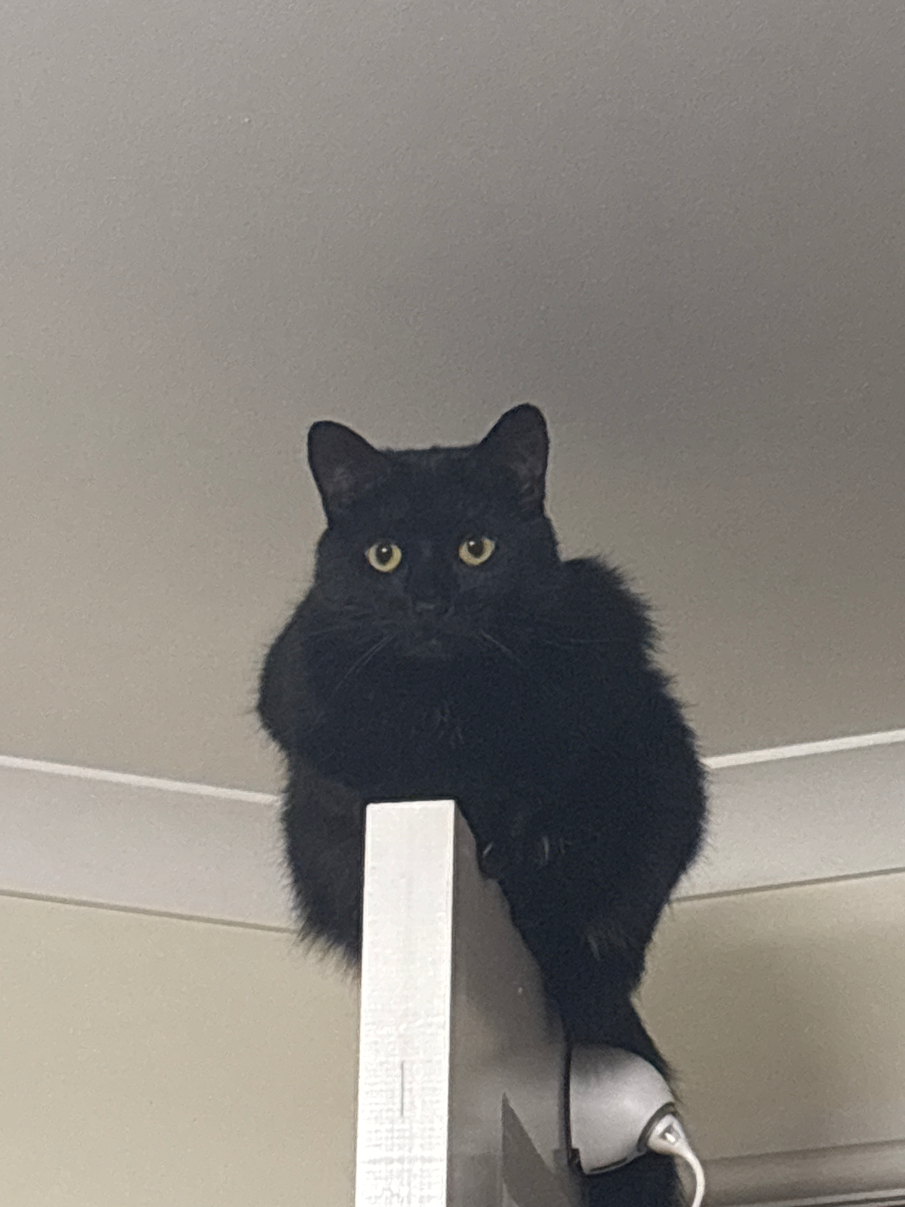 user avatar image for Daniel Heath