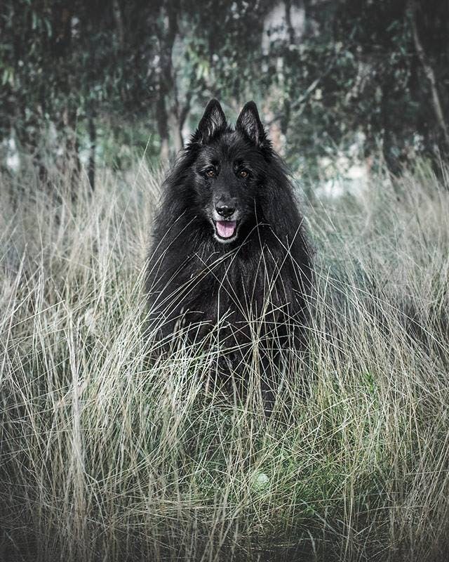 user avatar image for Draghkara