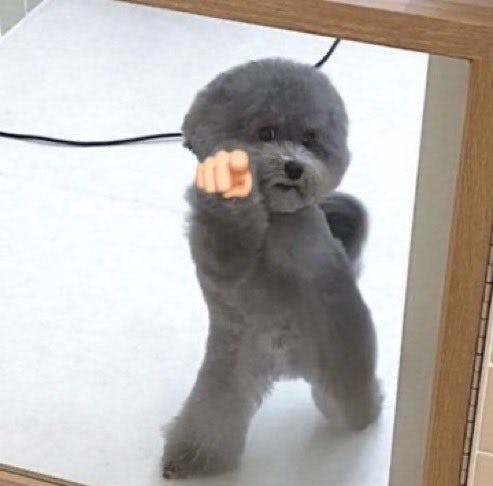 user avatar image for Mia Salinas 