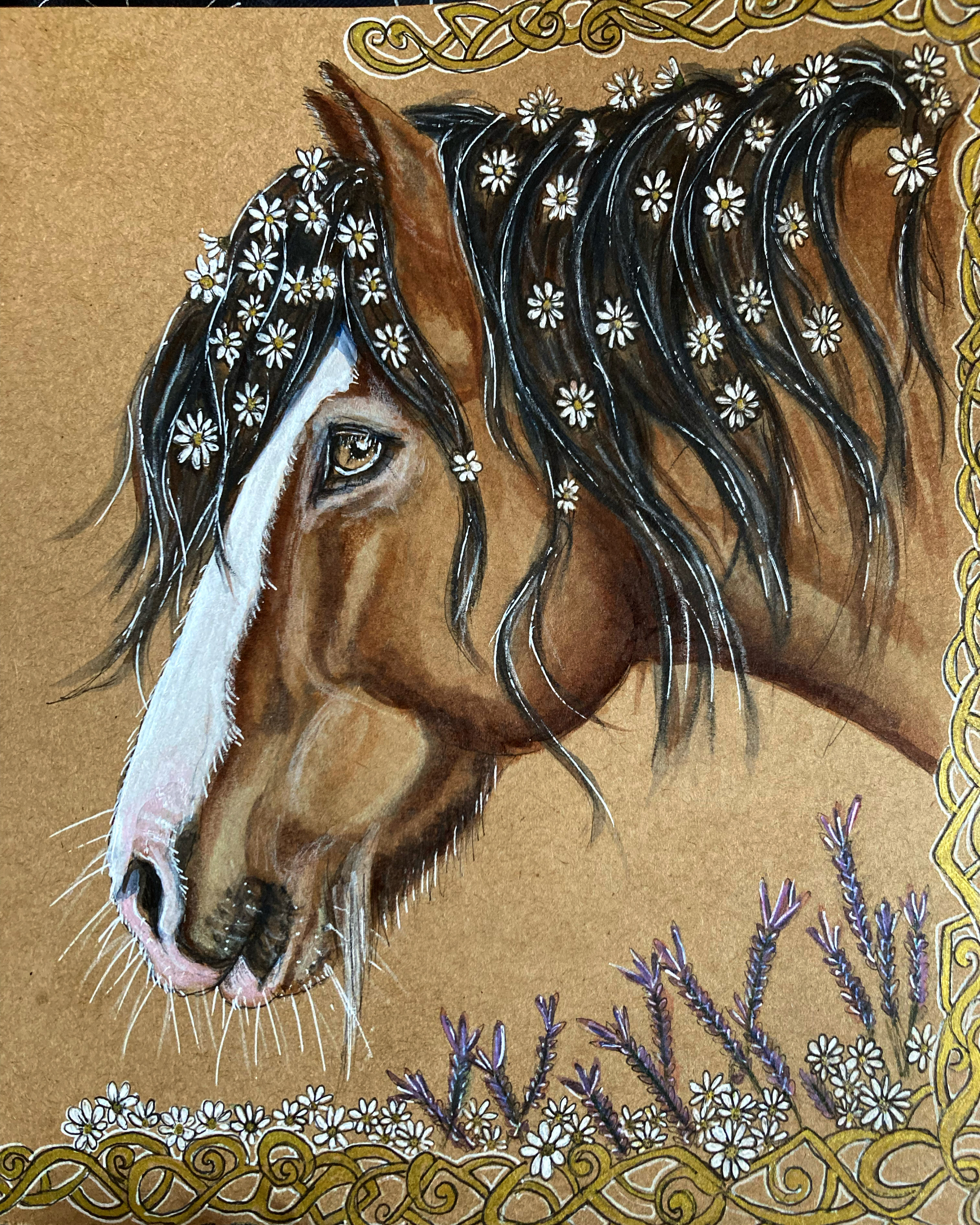 user avatar image for Siobhan 