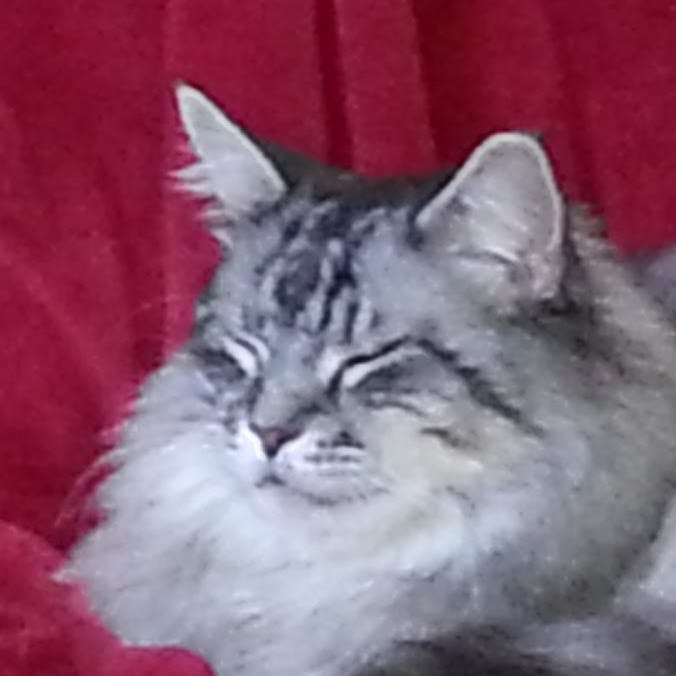 user avatar image for Max Kaehn