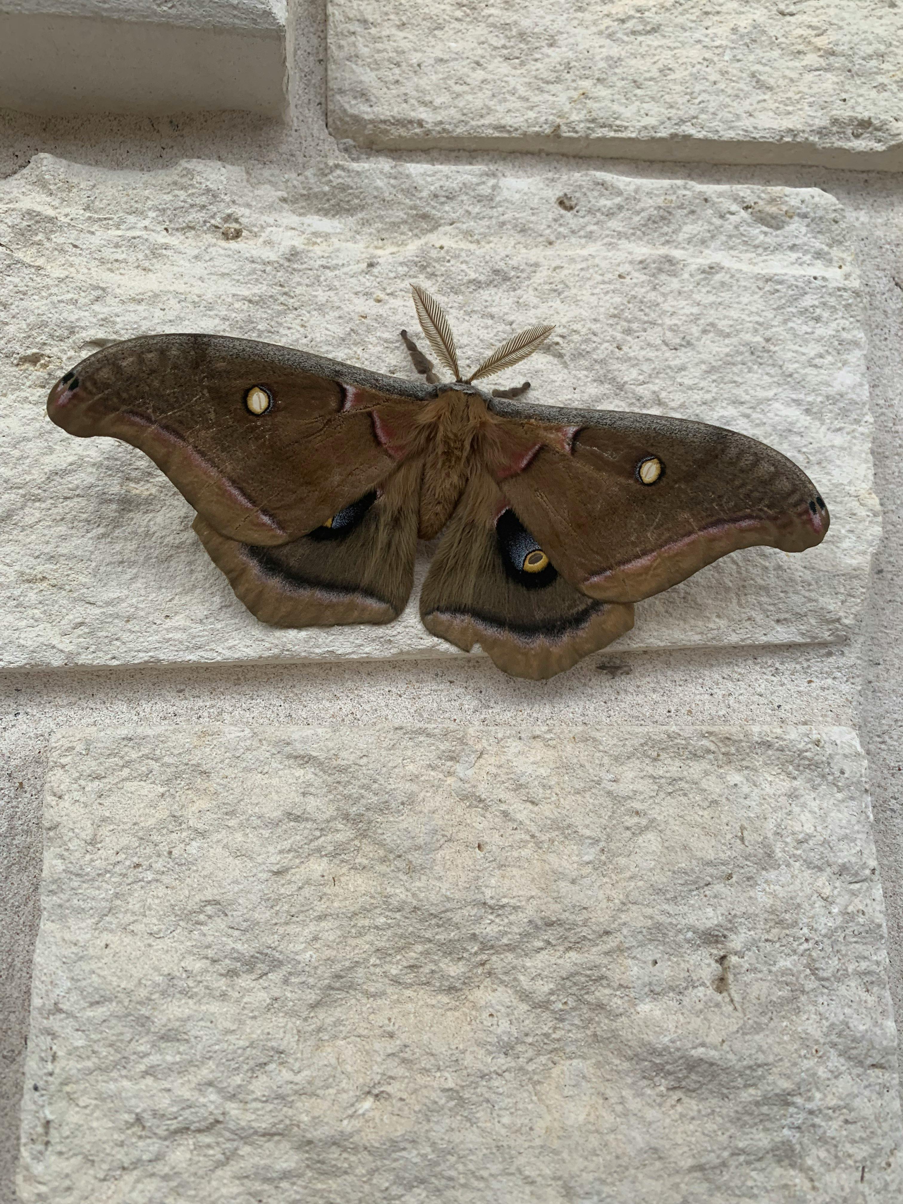 user avatar image for Lev