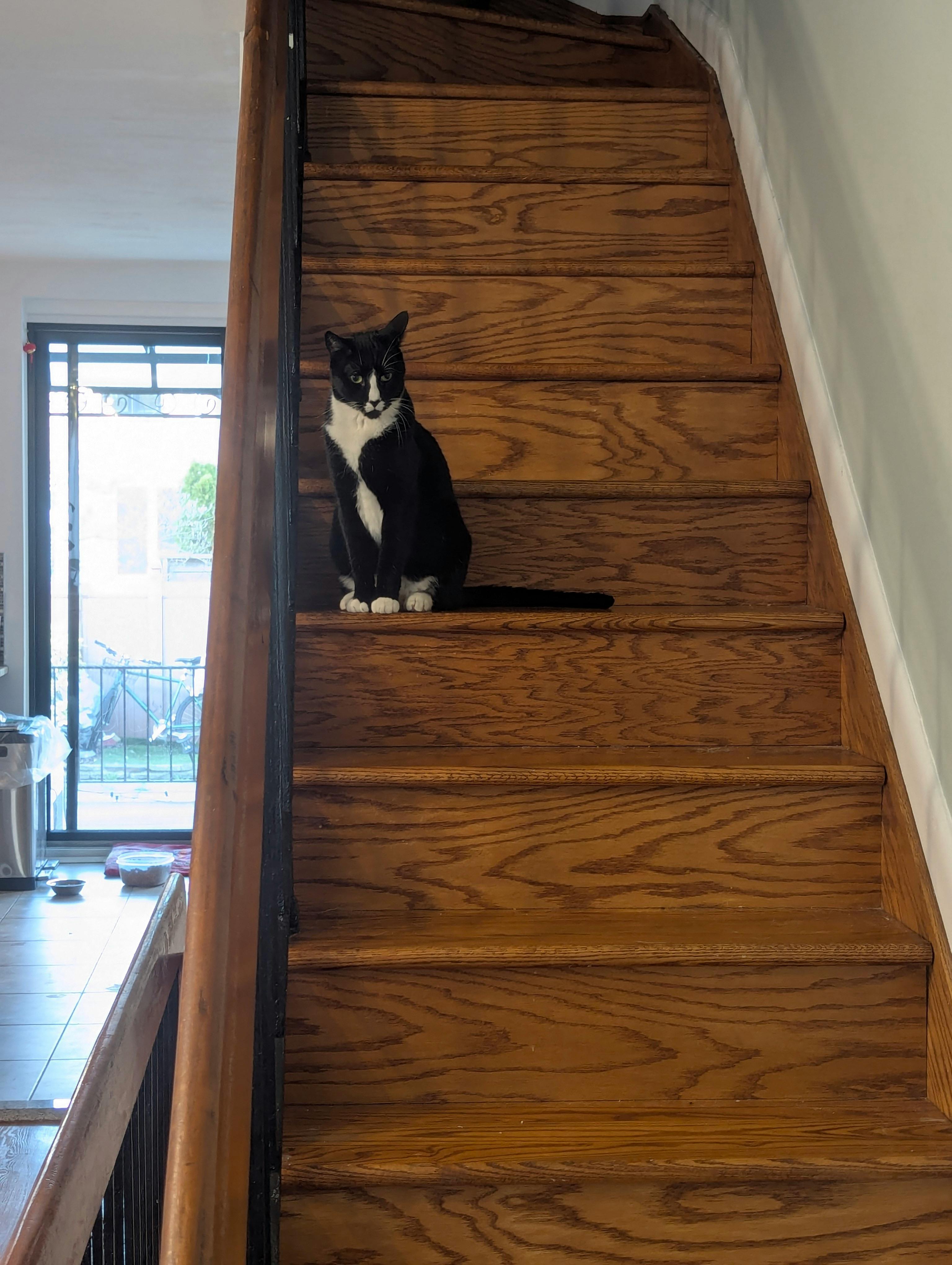 user avatar image for Door.cat