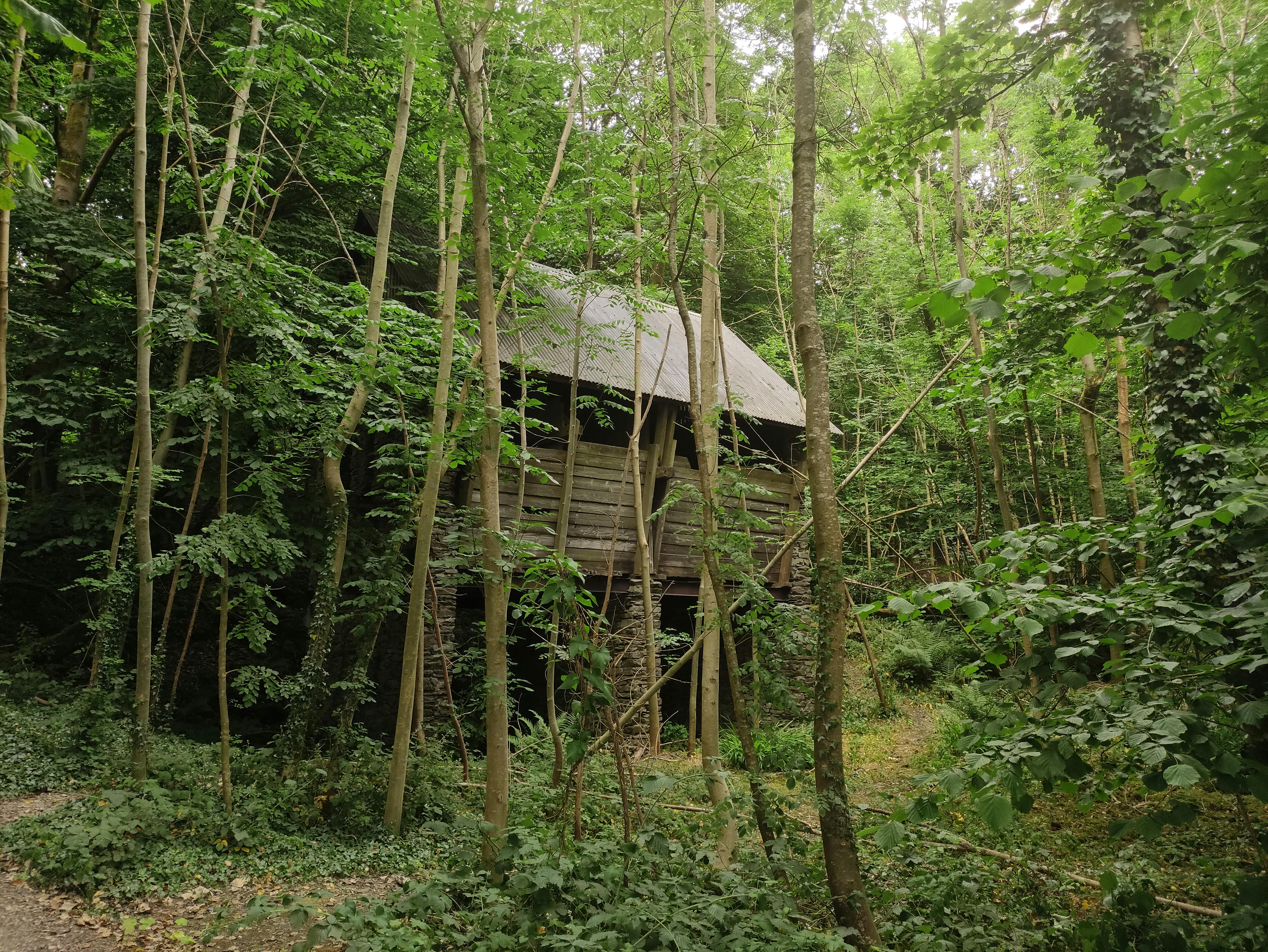 user avatar image for Pa_Kalsha