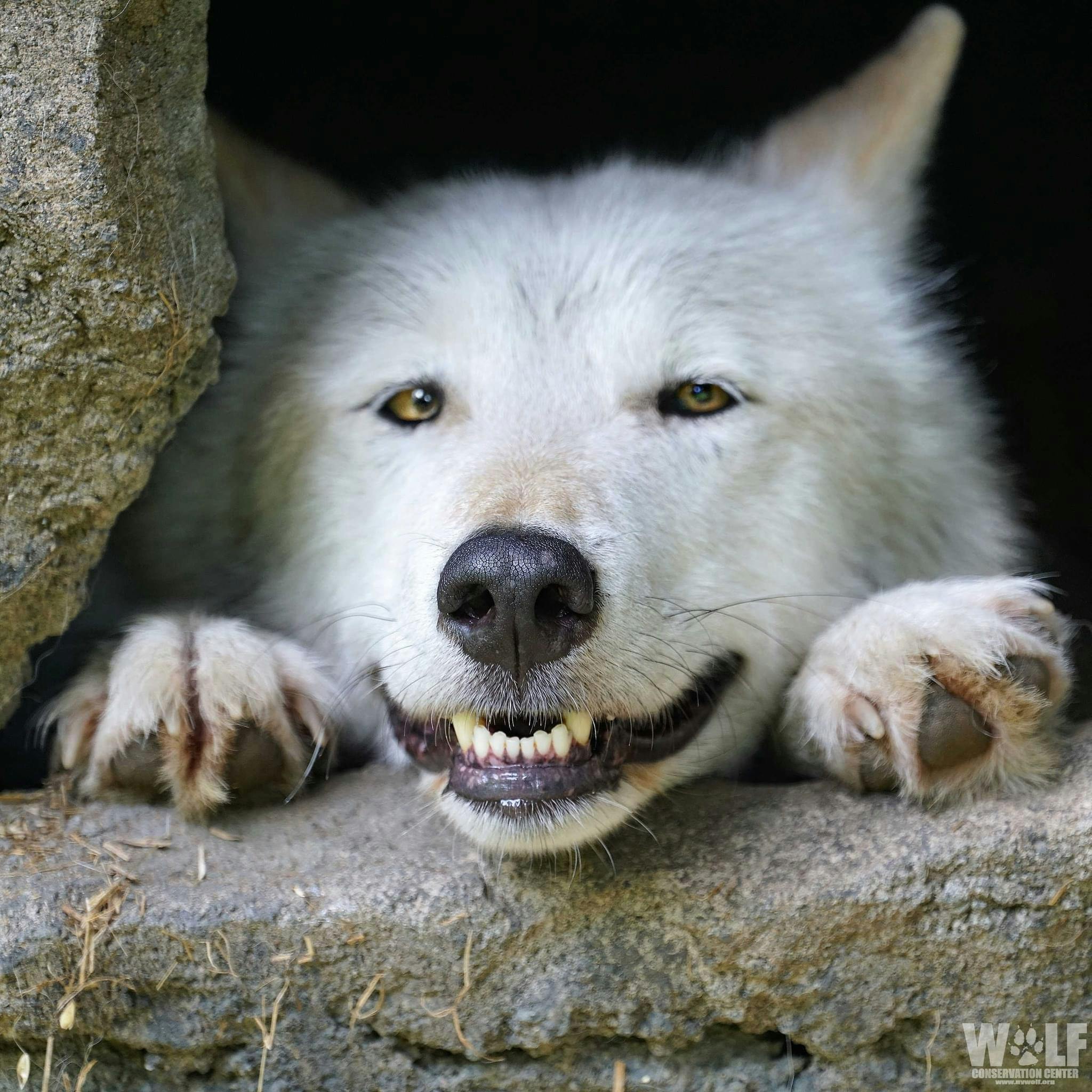 user avatar image for Victor