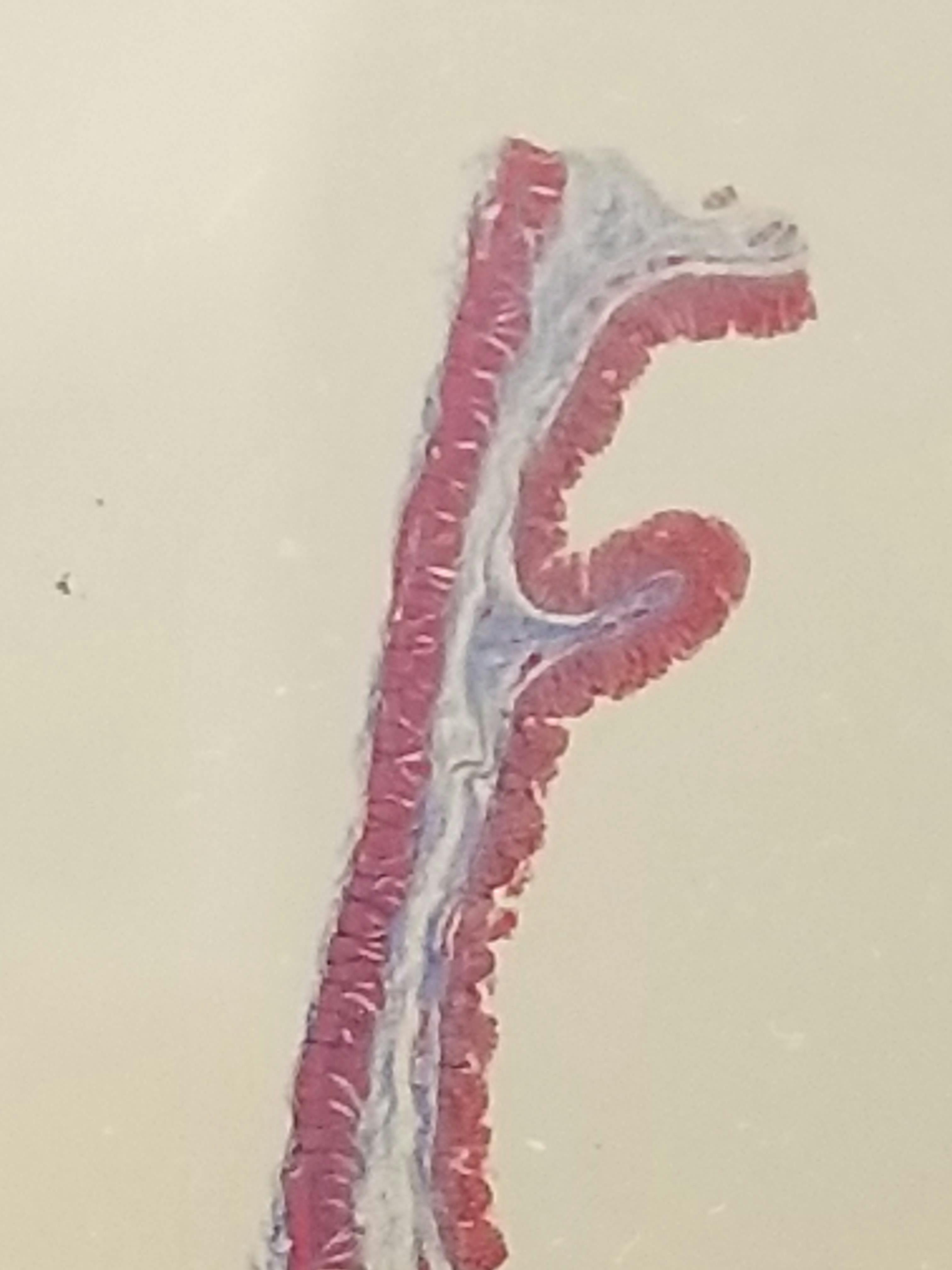 user avatar image for pathinbloom