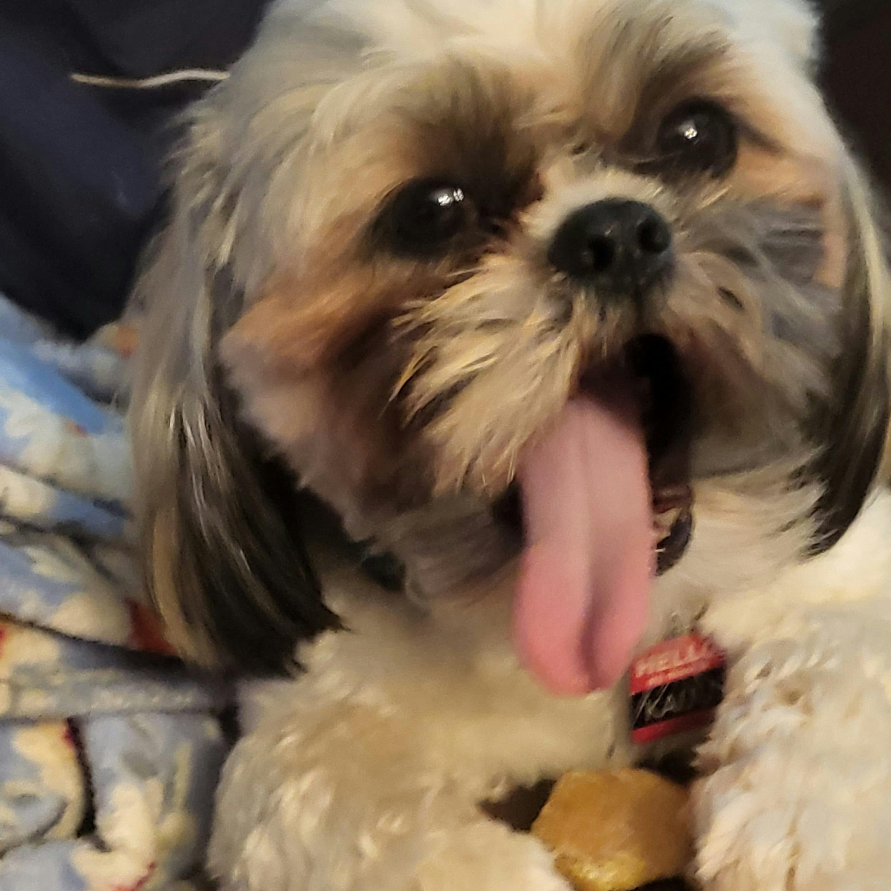 user avatar image for Tisiphone 