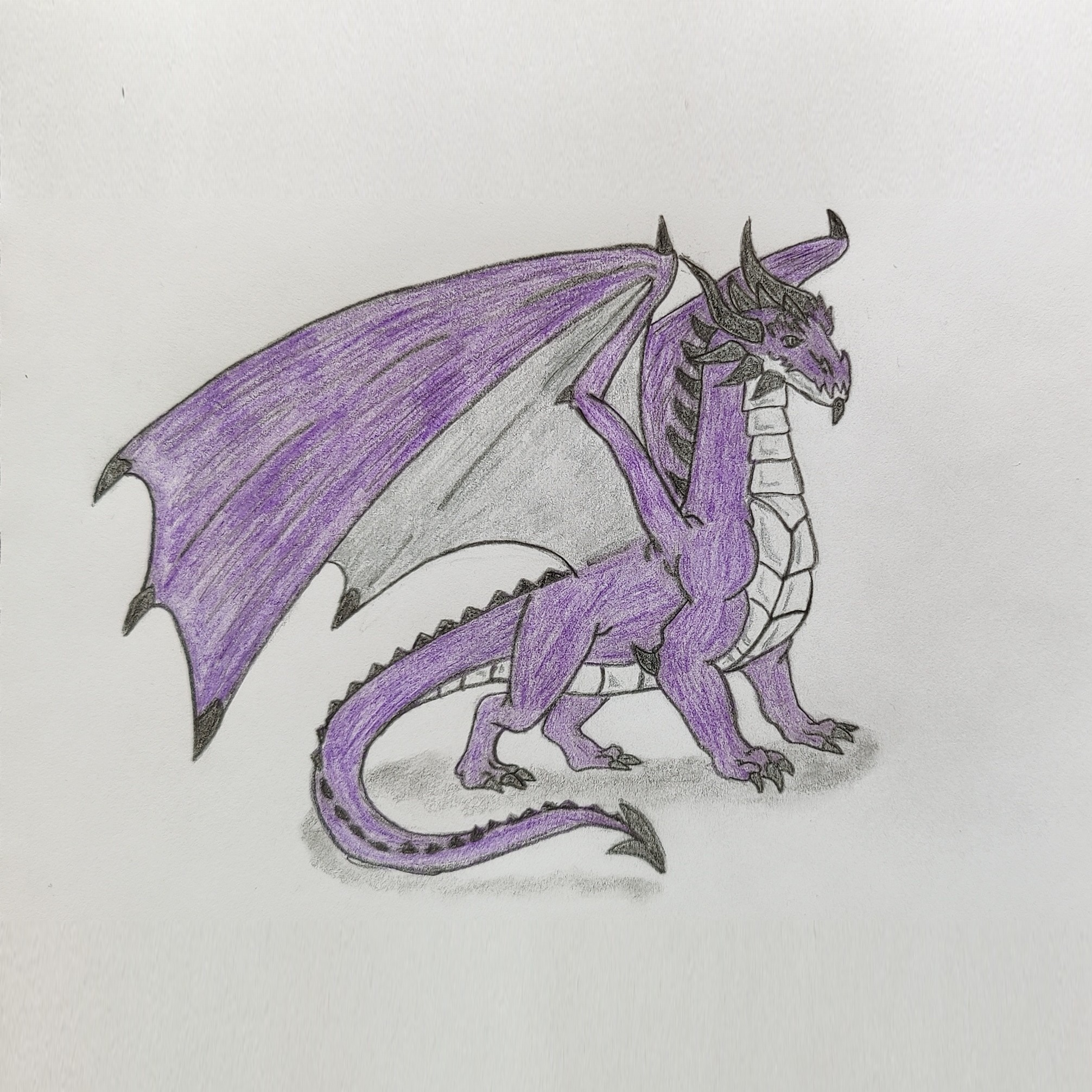 user avatar image for Therese