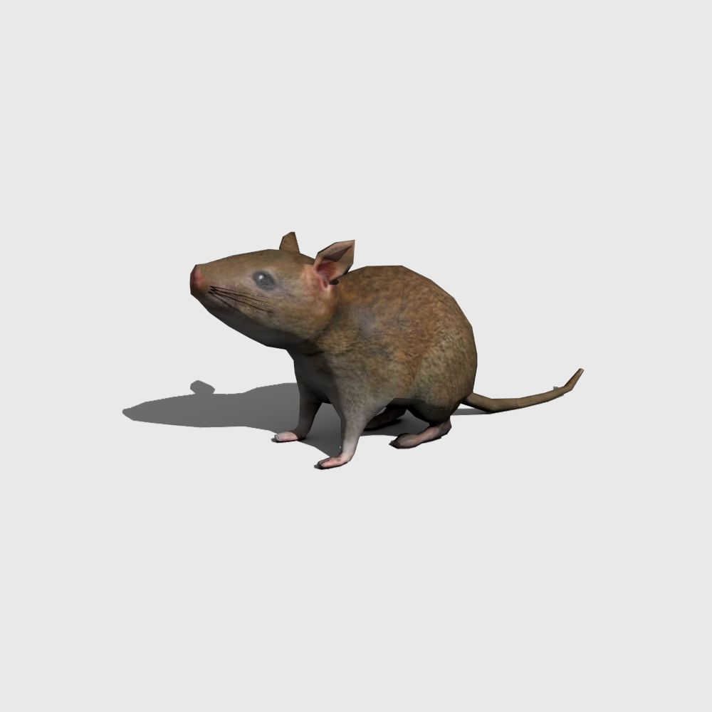 user avatar image for Navi the Gator