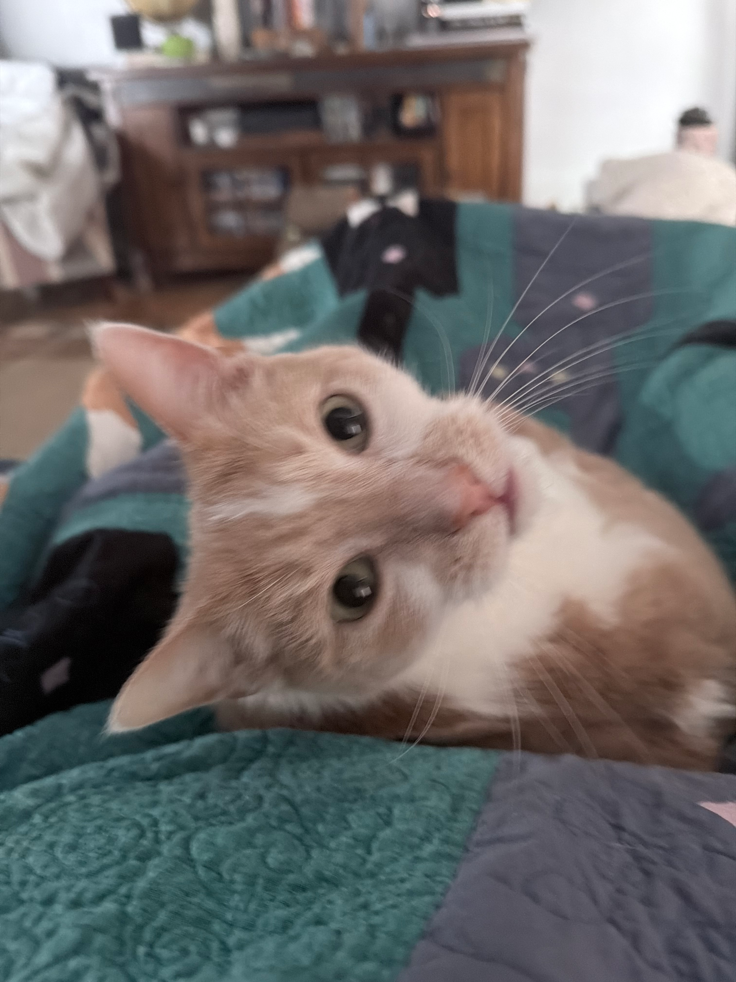 user avatar image for M Smith