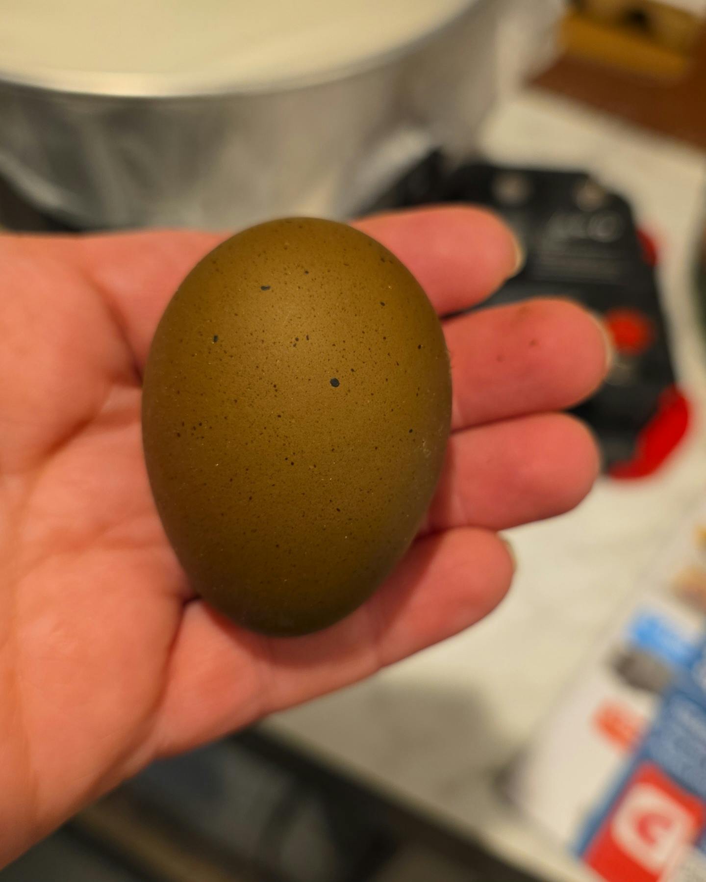 user avatar image for Millie 