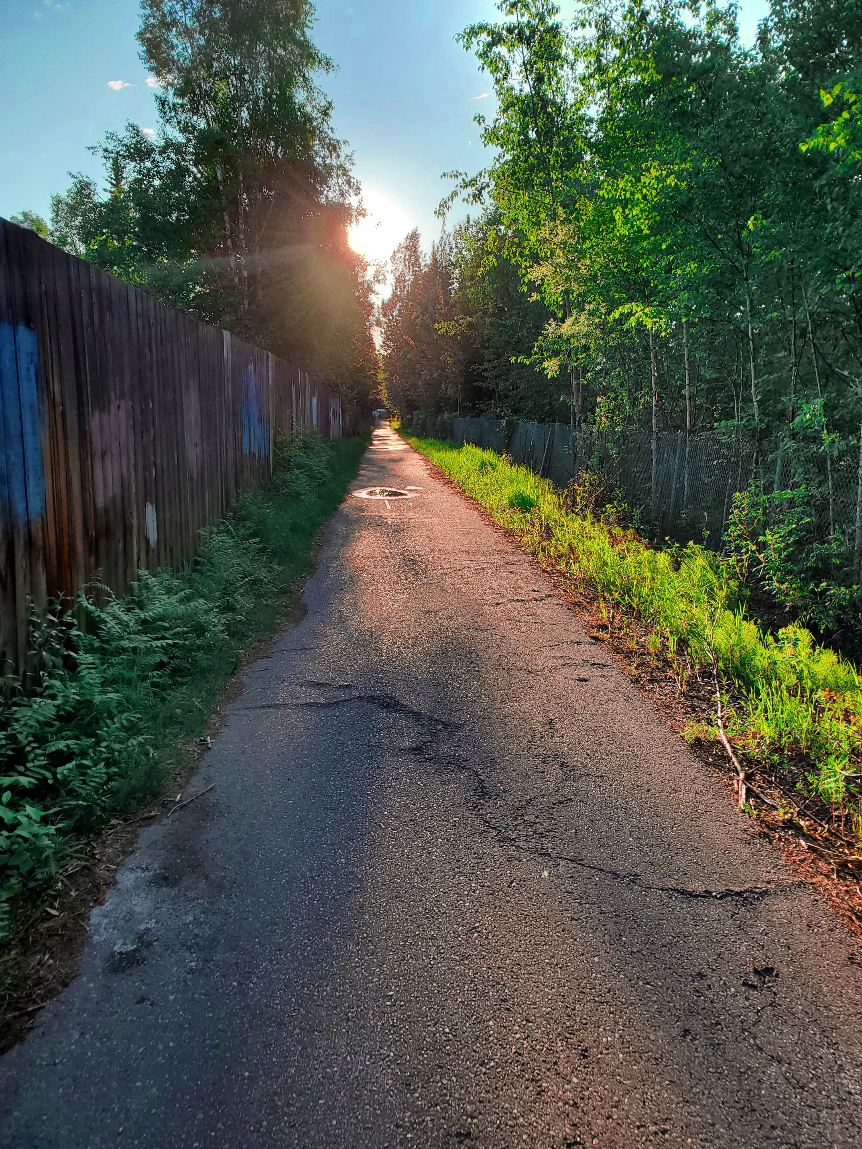 user avatar image for Violet Dancia