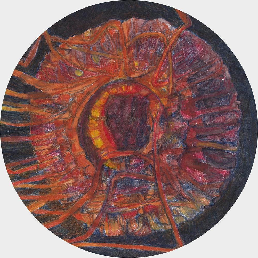 Atolla jellyfish (orange)