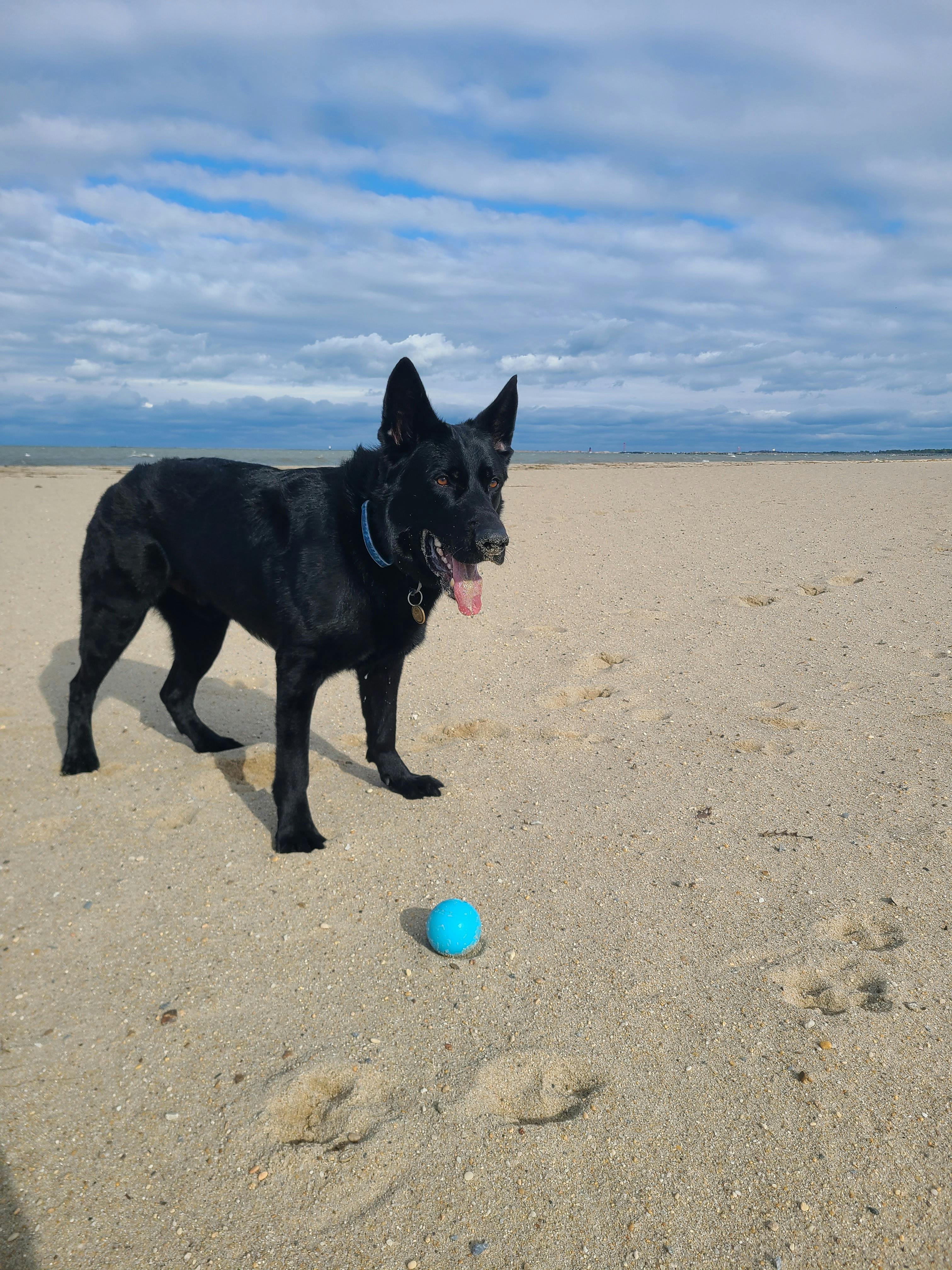 user avatar image for Kenai