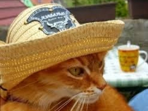 user avatar image for Janáč Jaroslav