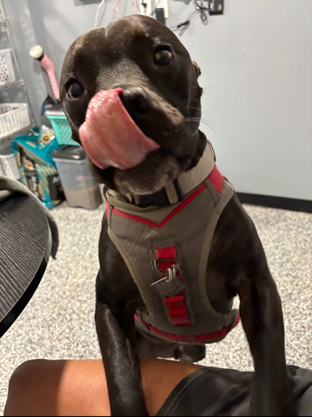 user avatar image for Samantha