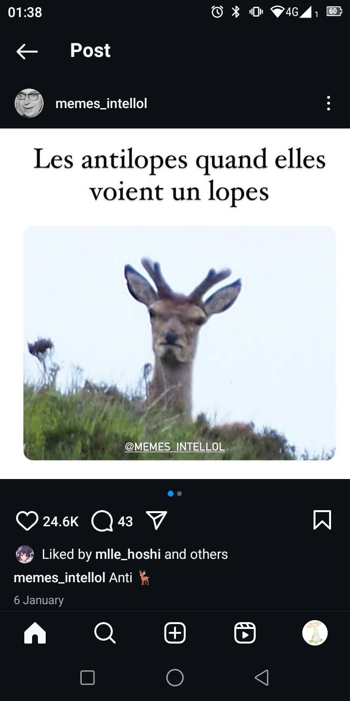 user avatar image for Mara