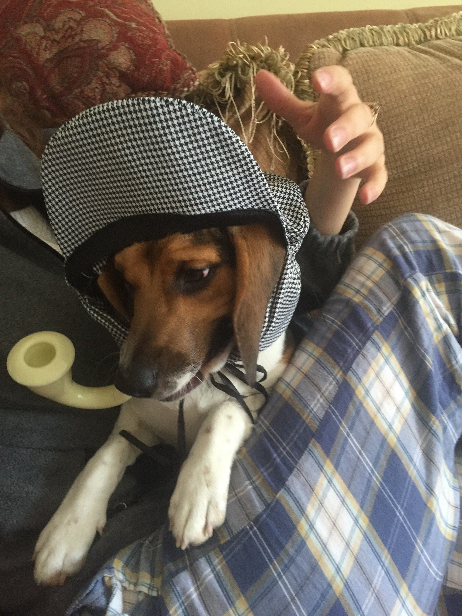 user avatar image for Jkellycal