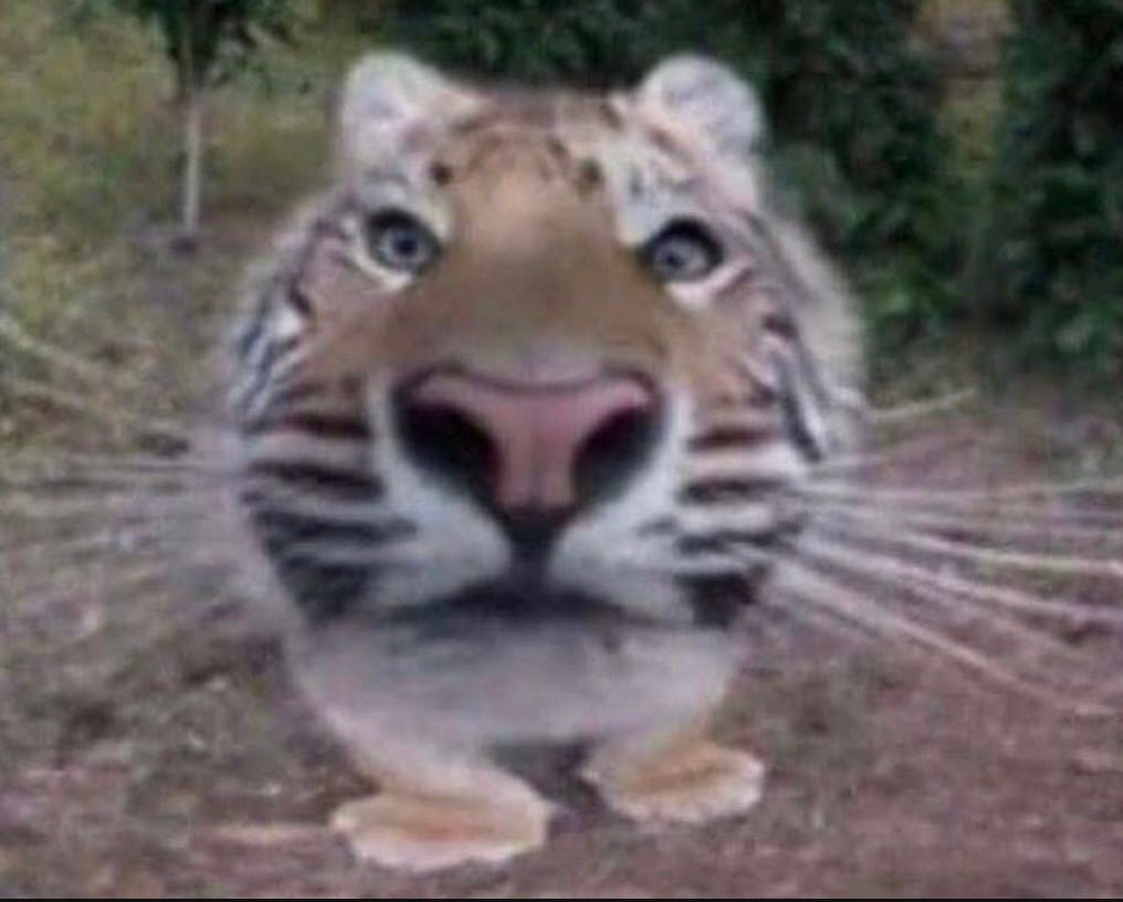 user avatar image for Wolfram