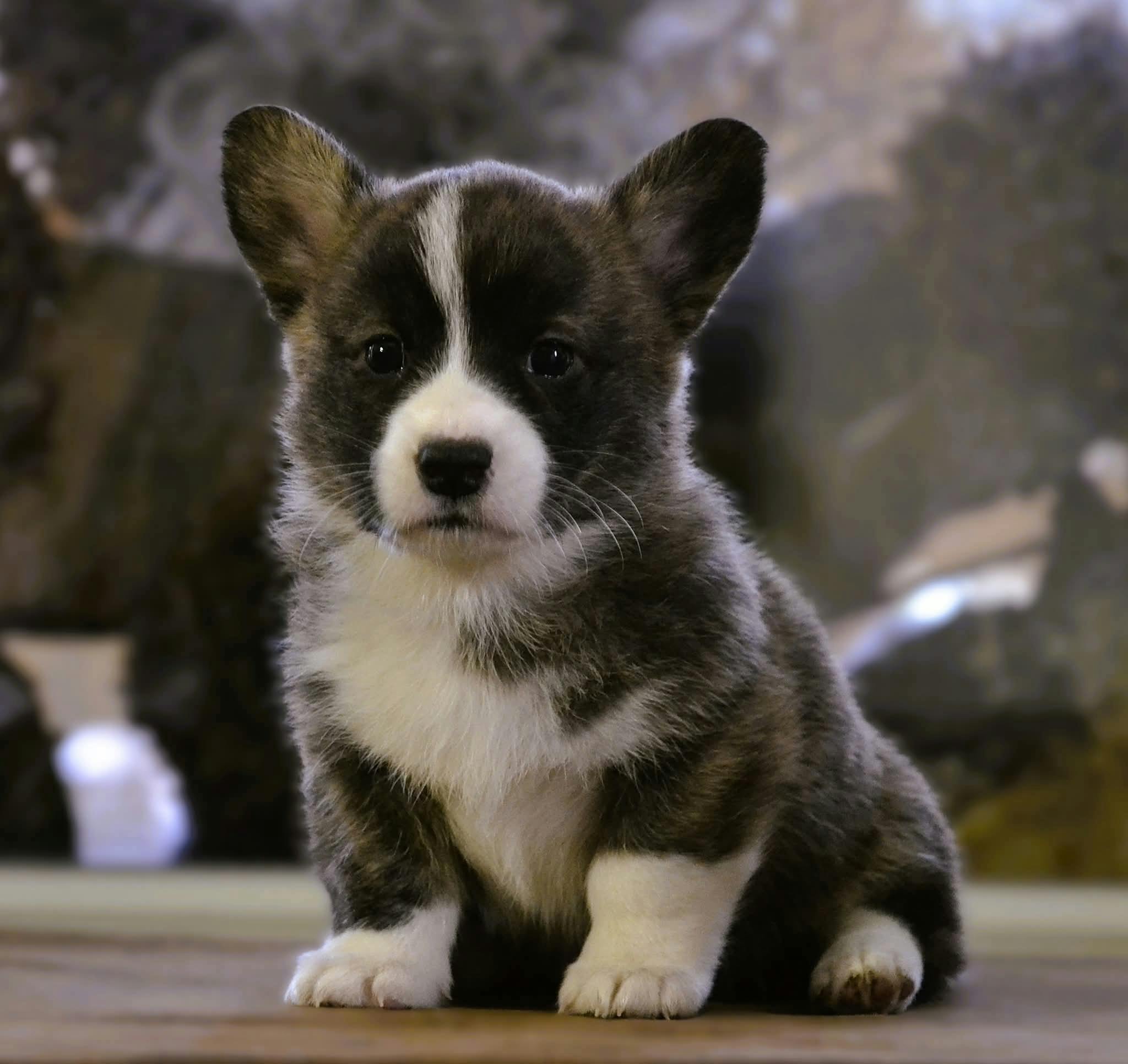 user avatar image for Chris Owen