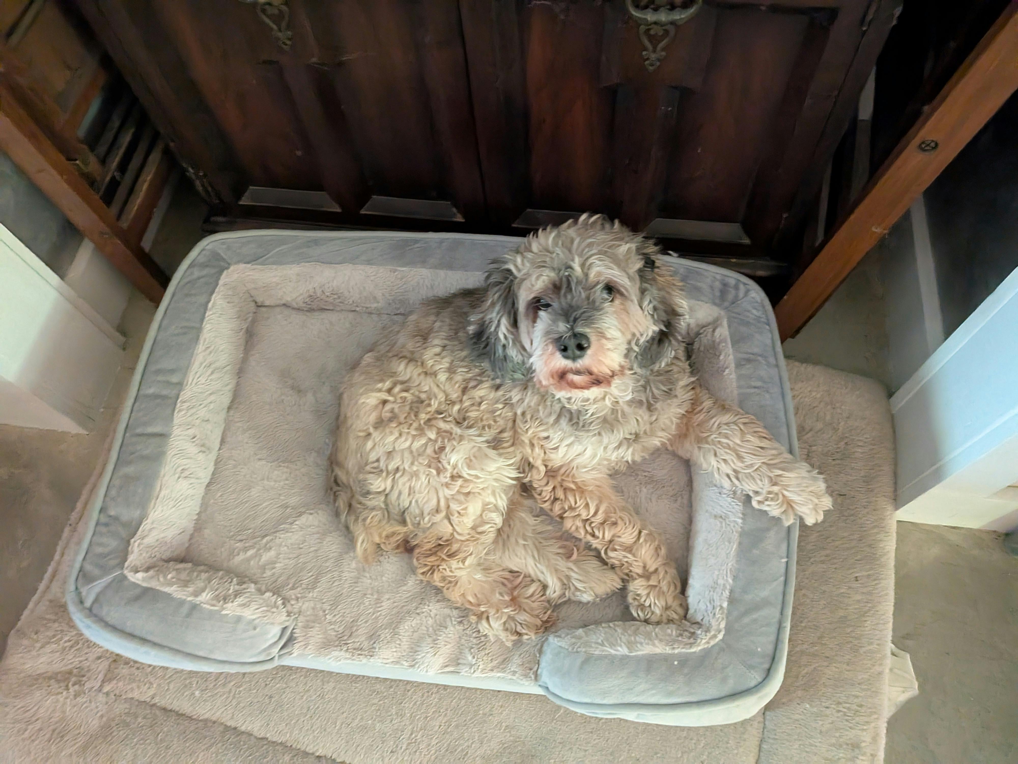 user avatar image for Felixls10