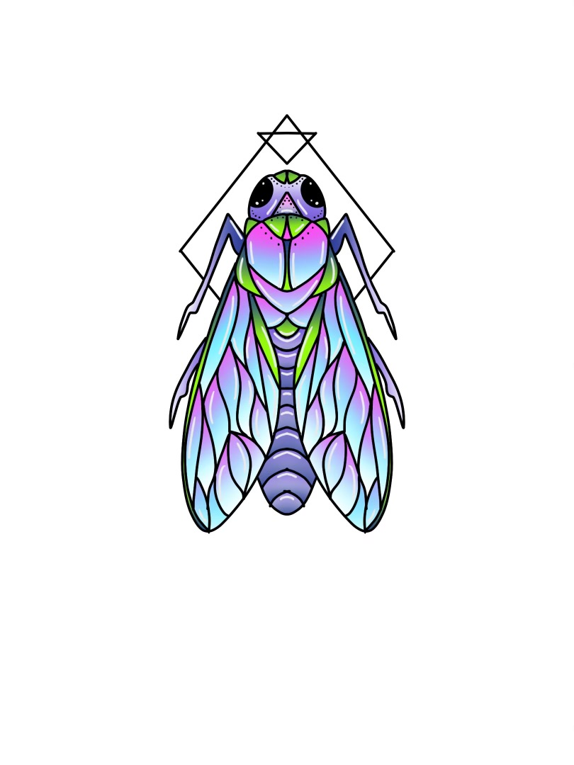 user avatar image for Kat