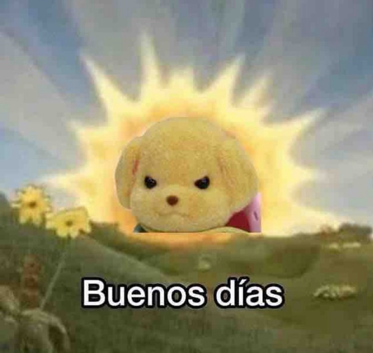 user avatar image for opsiedaisies