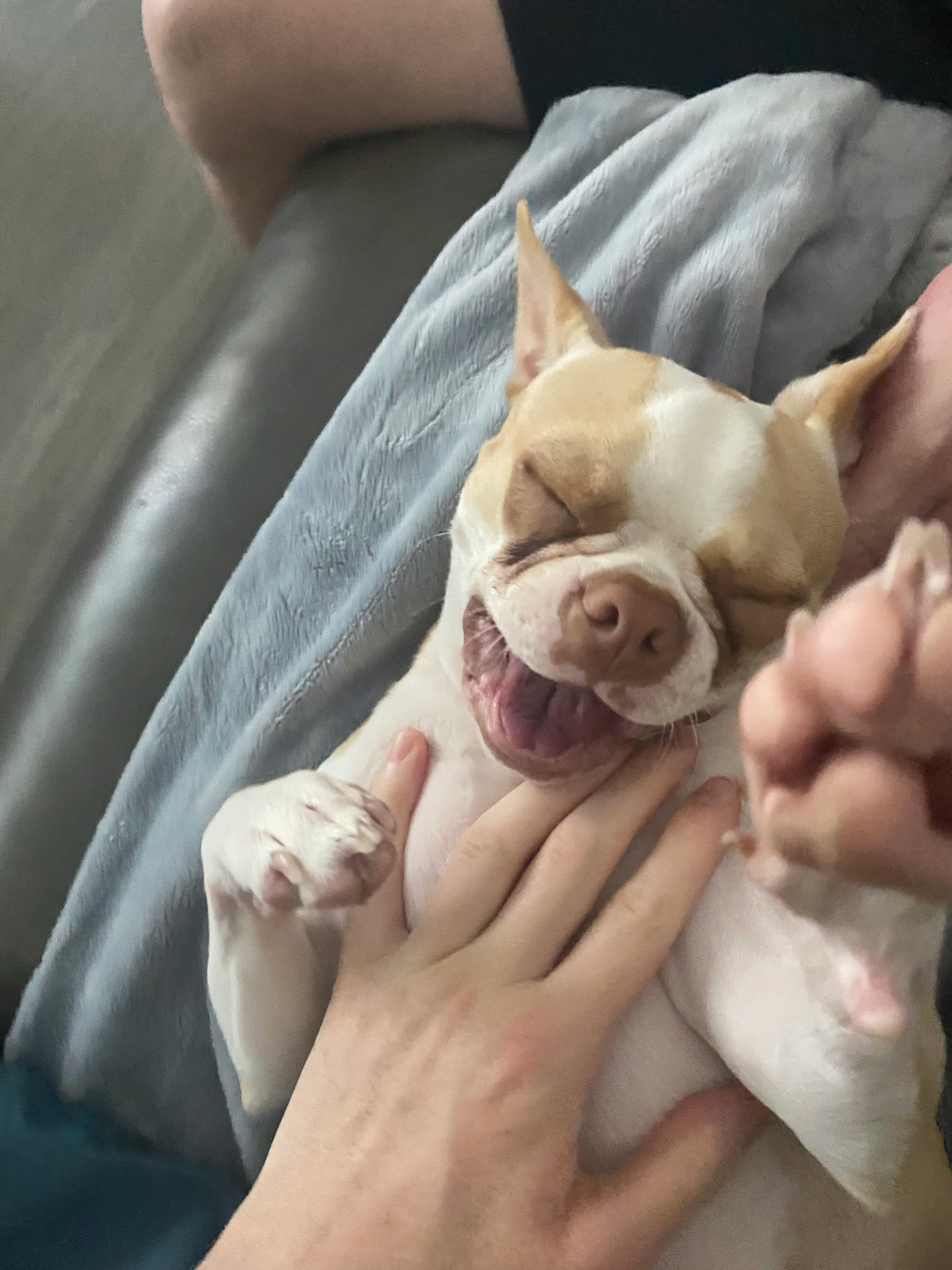 user avatar image for Lerati