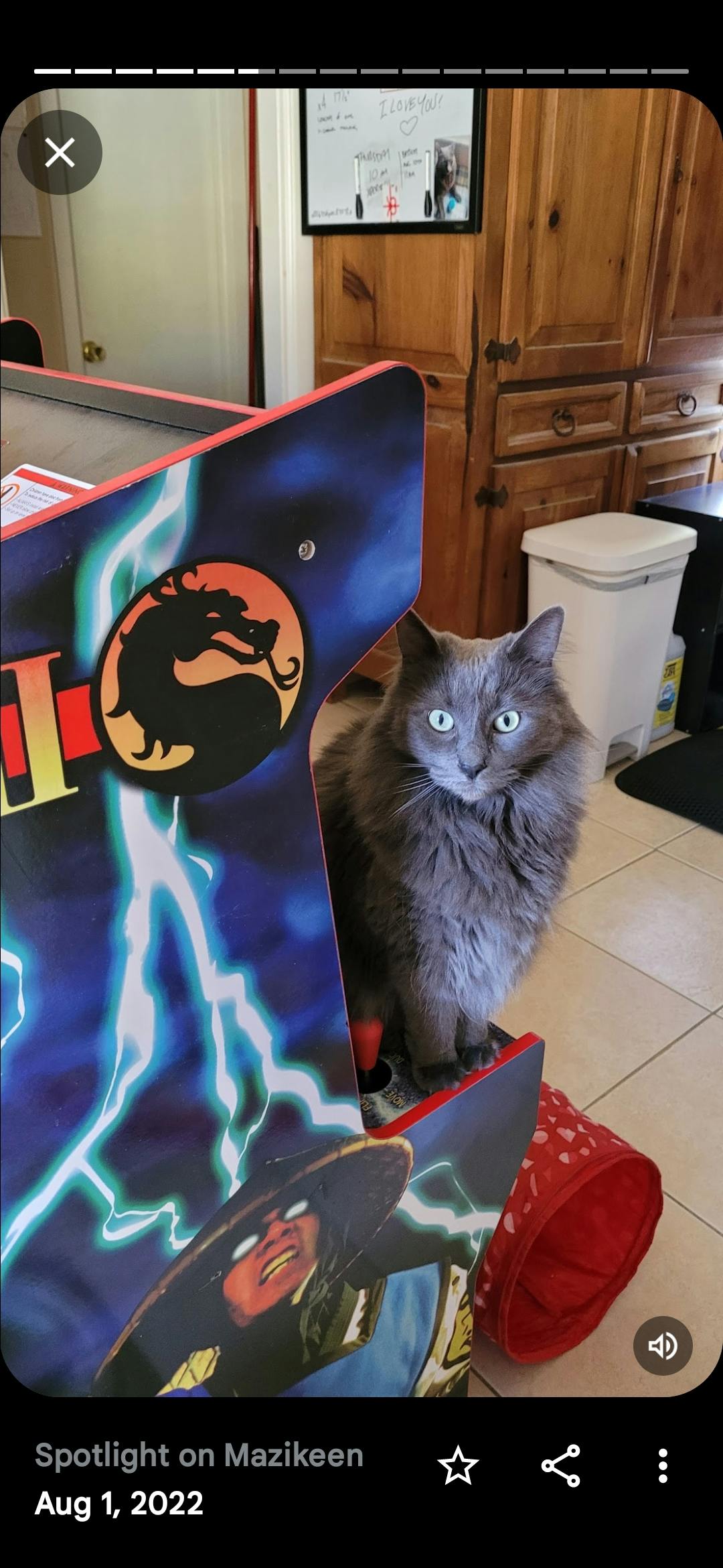 user avatar image for Scarlett