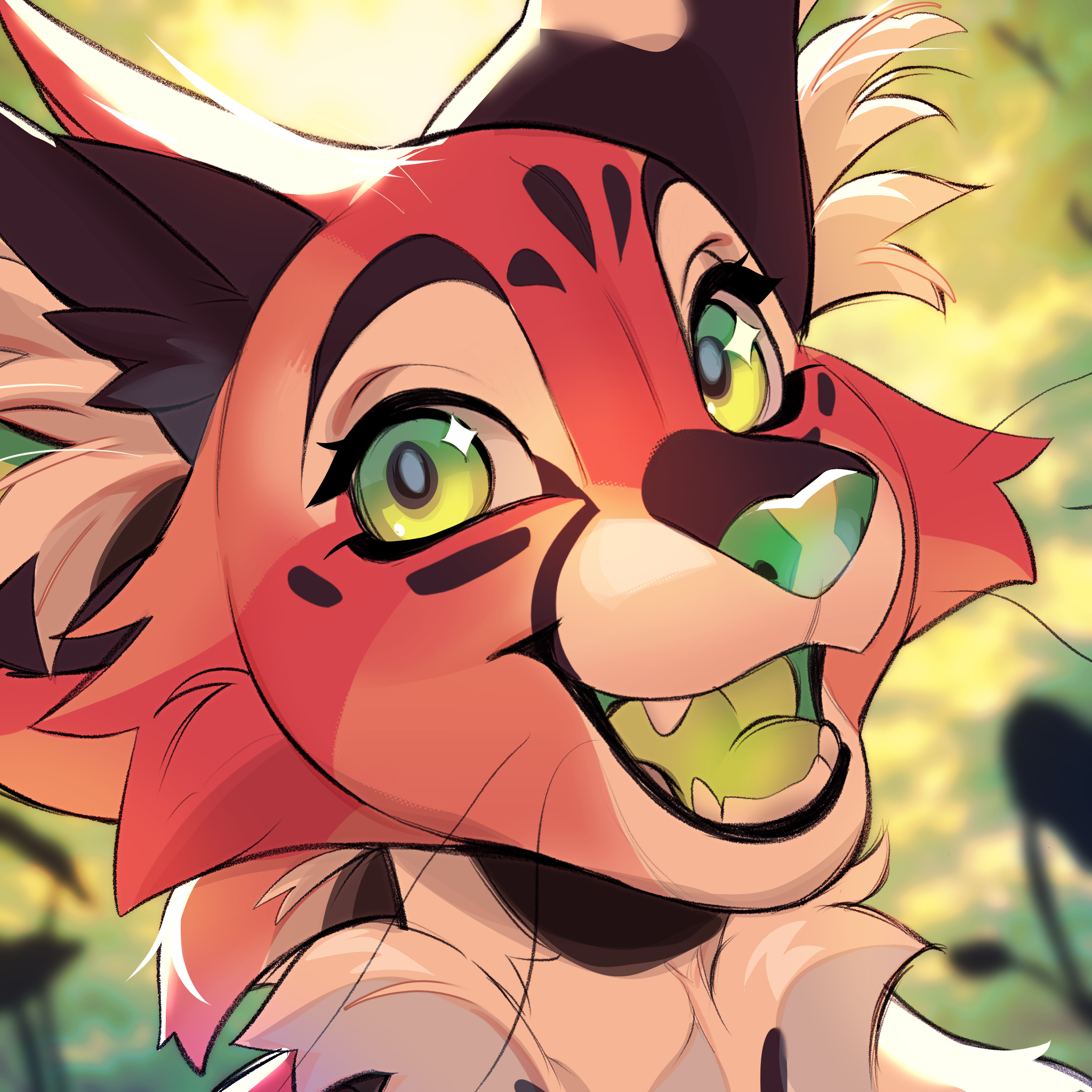user avatar image for Showtune Cockatoo