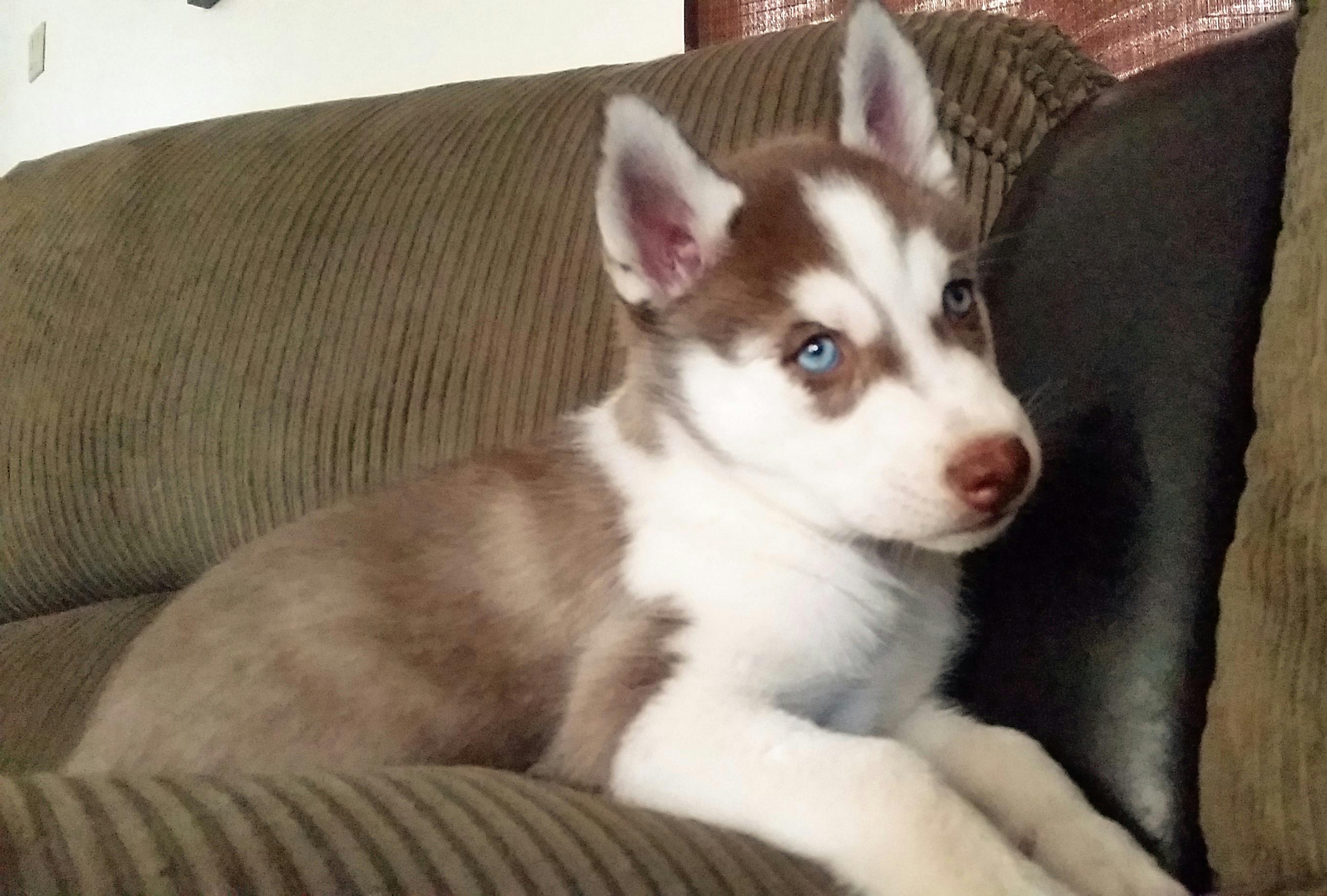 user avatar image for Matt G.