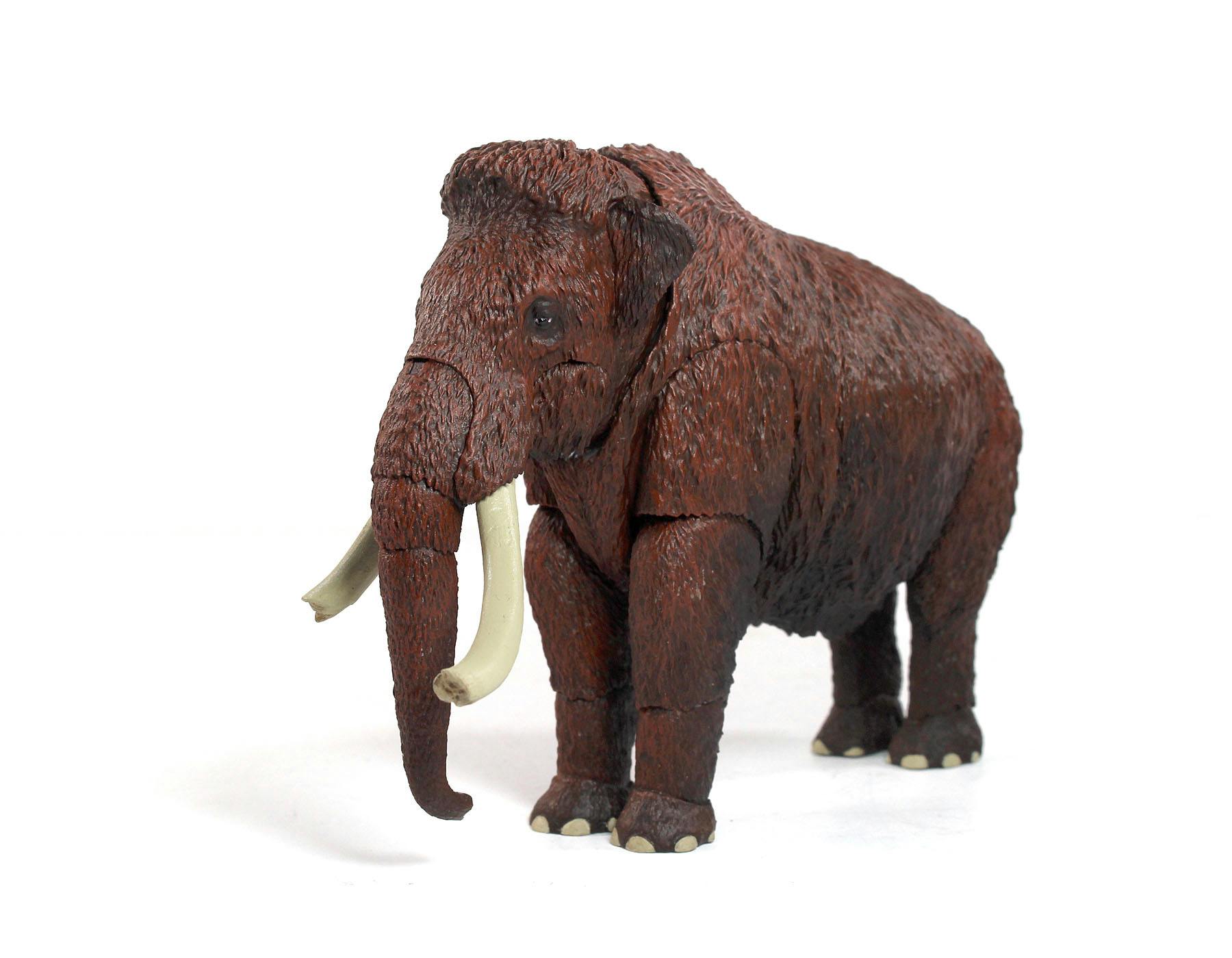 ベース Woolly Mammoth Wooly Mammoth (Mammuthus primigenius) - 1