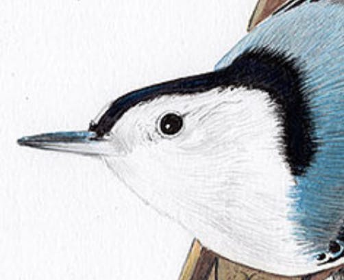 user avatar image for Silcrow