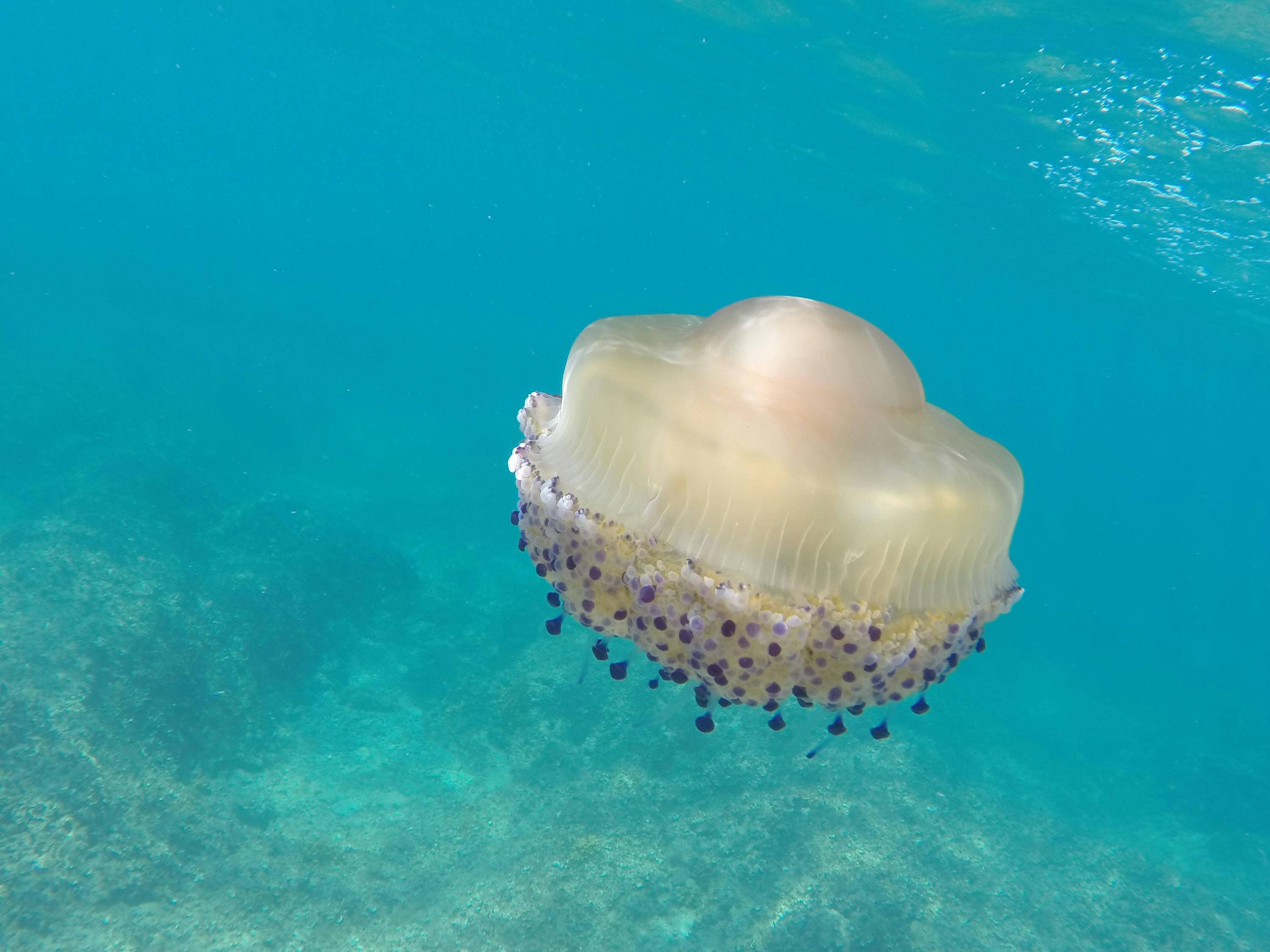 user avatar image for Jeroen