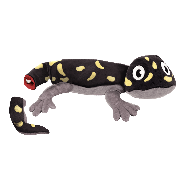 Alexander the Salamander Plush